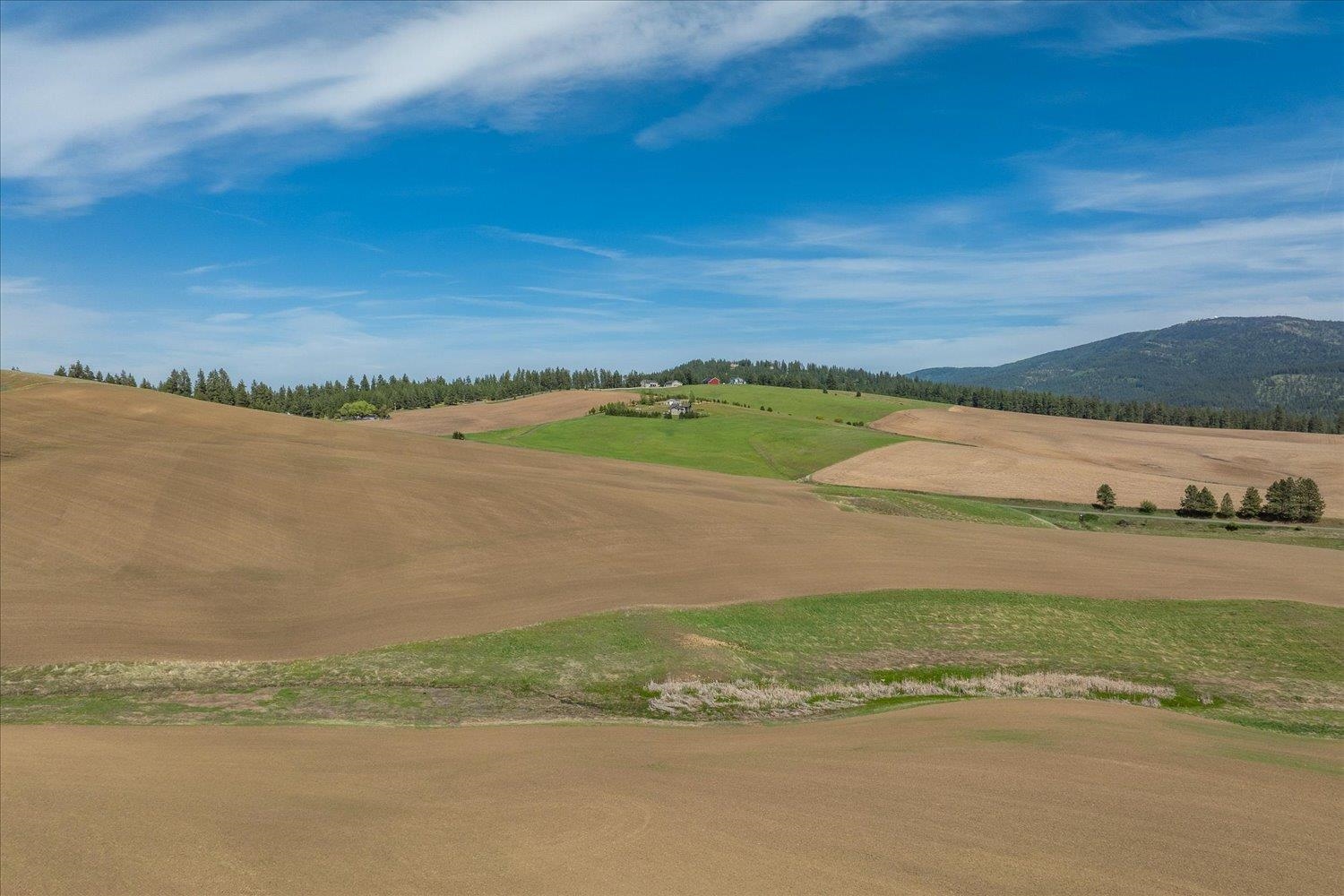 00XXX Jackson Rd, Lot 17 - Photo 22