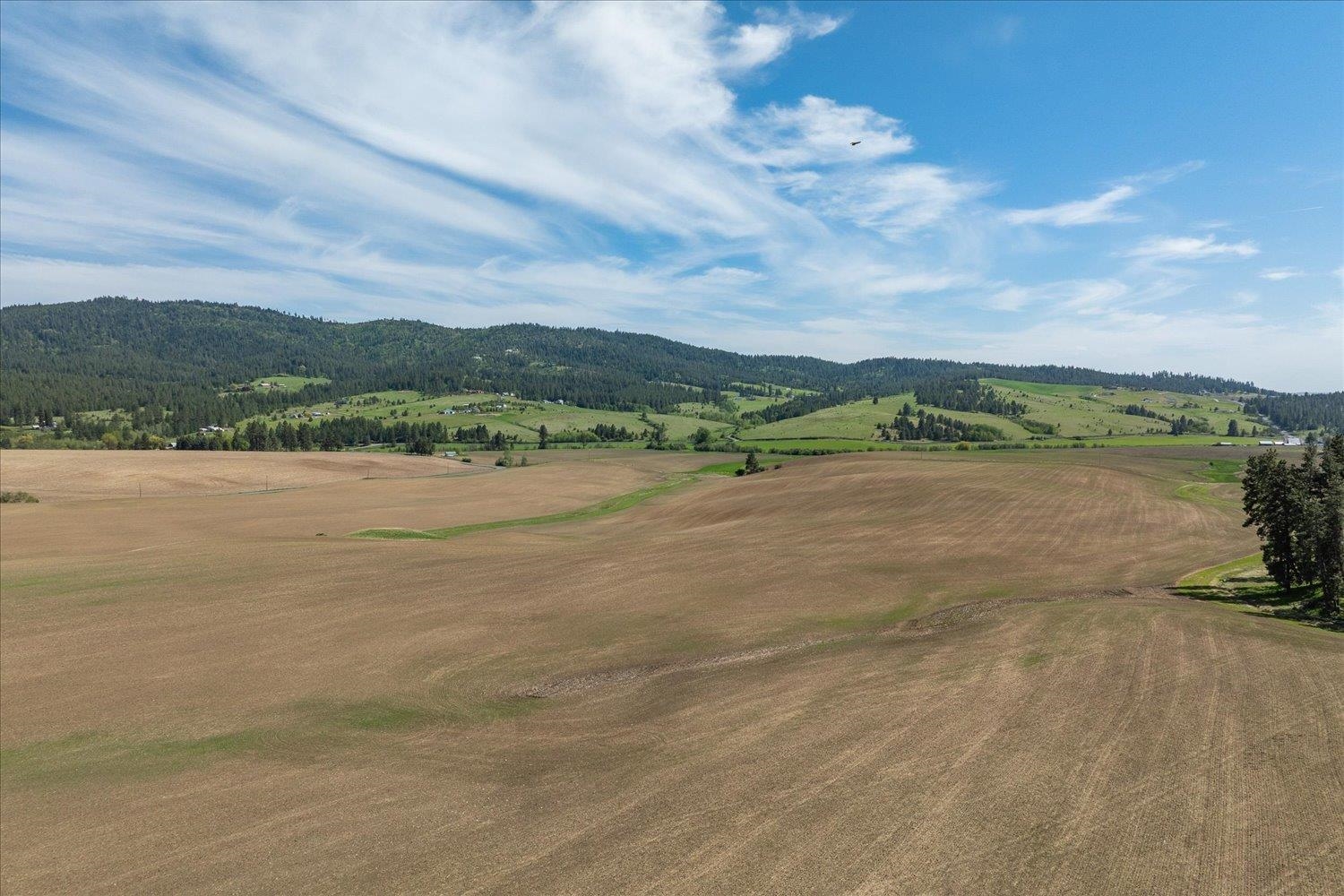 00XXX Jackson Rd, Lot 17 - Photo 25