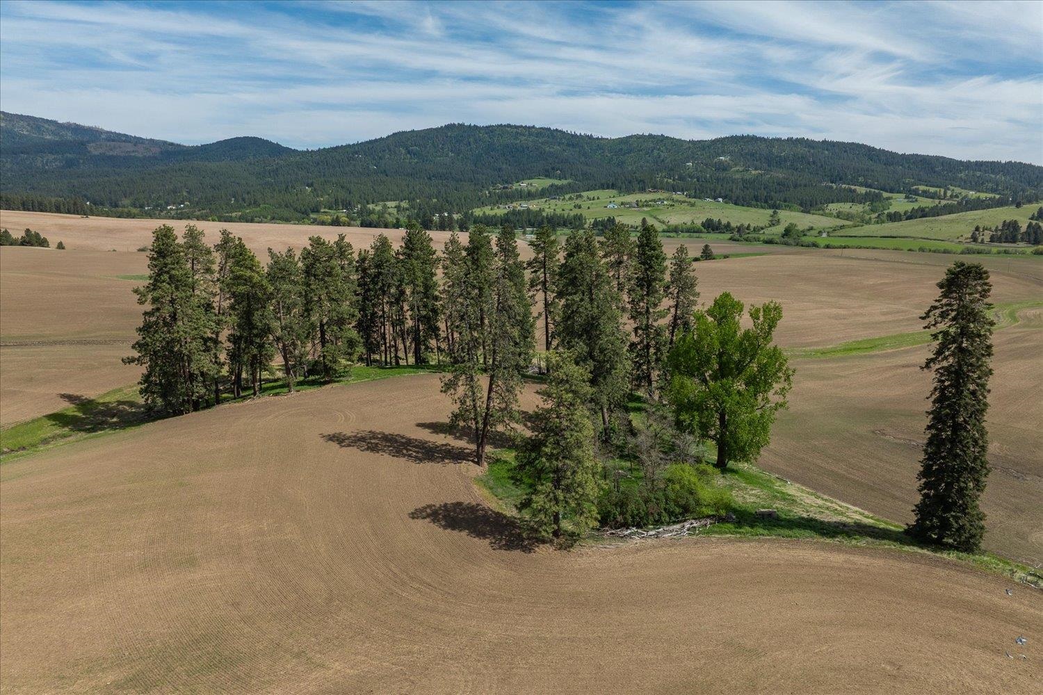 00XXX Jackson Rd, Lot 22 - Photo 21