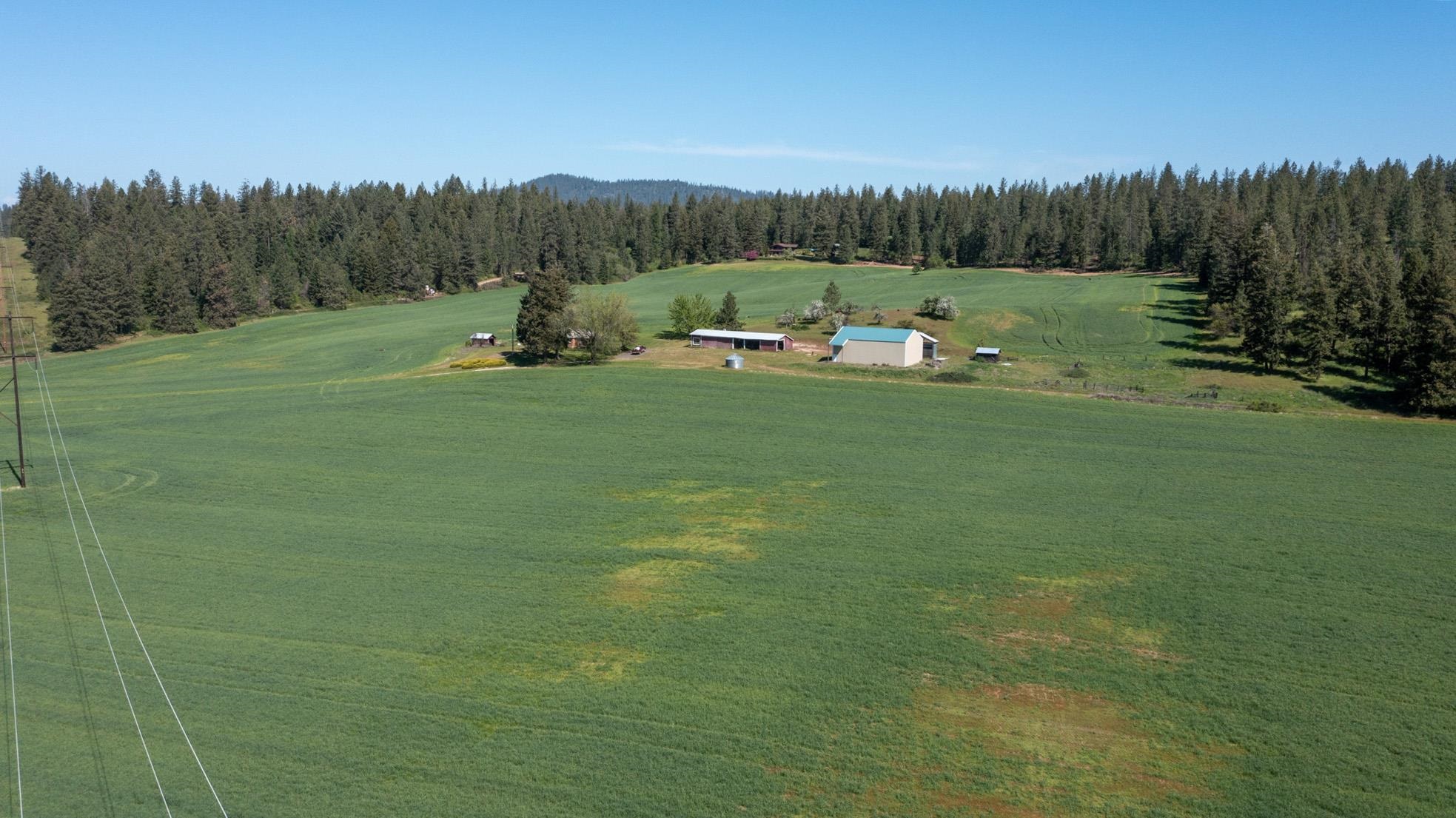 4881 A Carr Rd - Photo 31