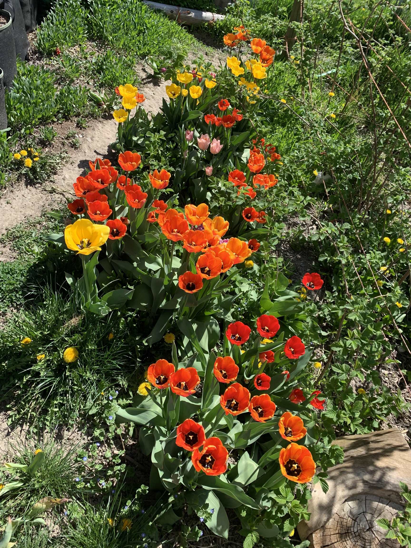 124 Crestview Dr - Photo 40