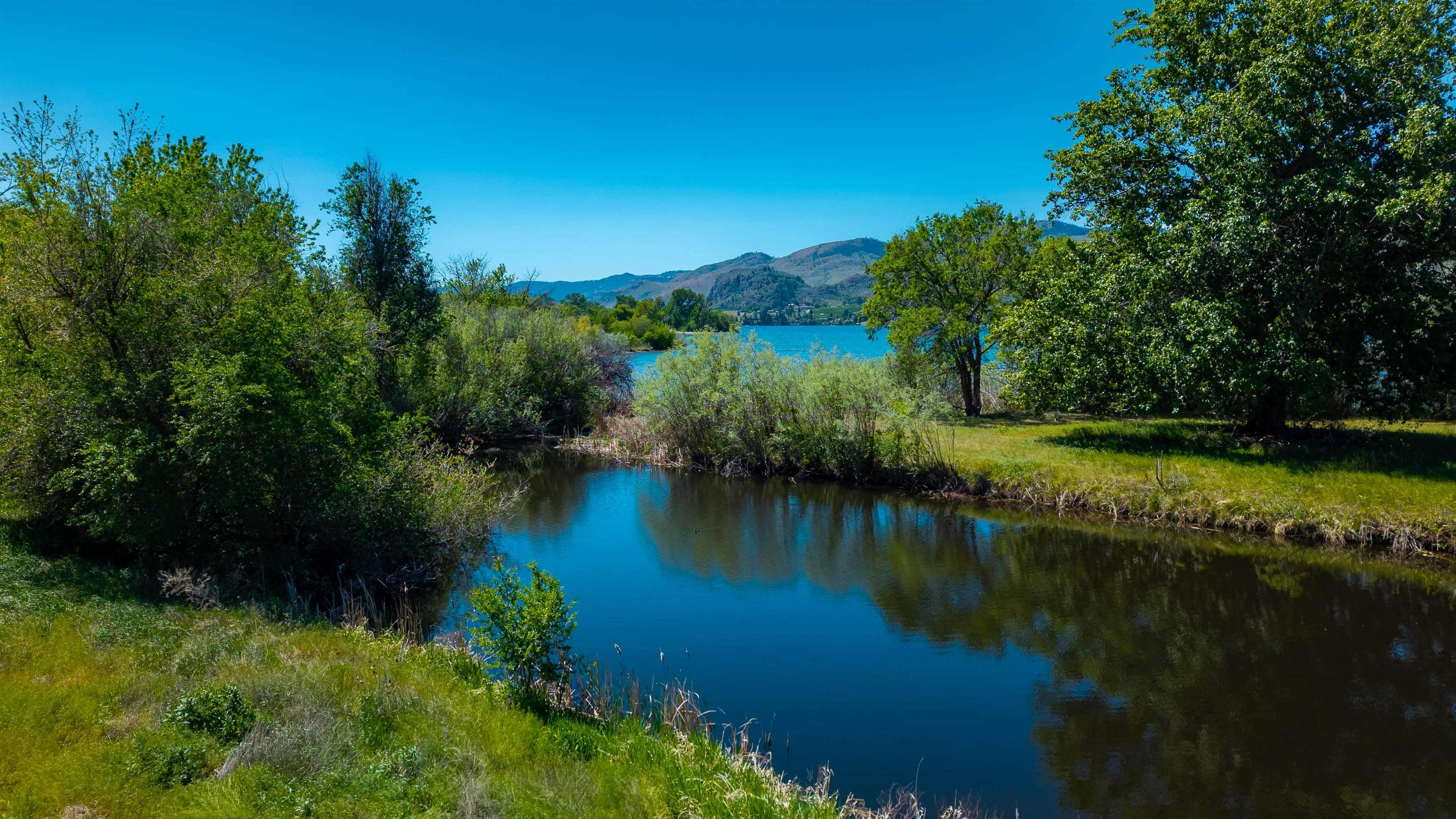 45 Thorndike Loop - Photo 4