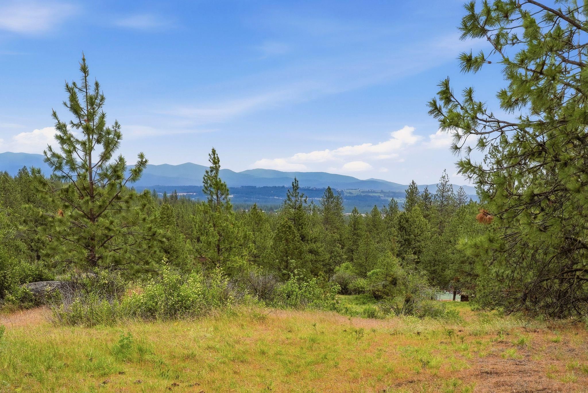 16107 N AUSTIN Rd - Photo 38