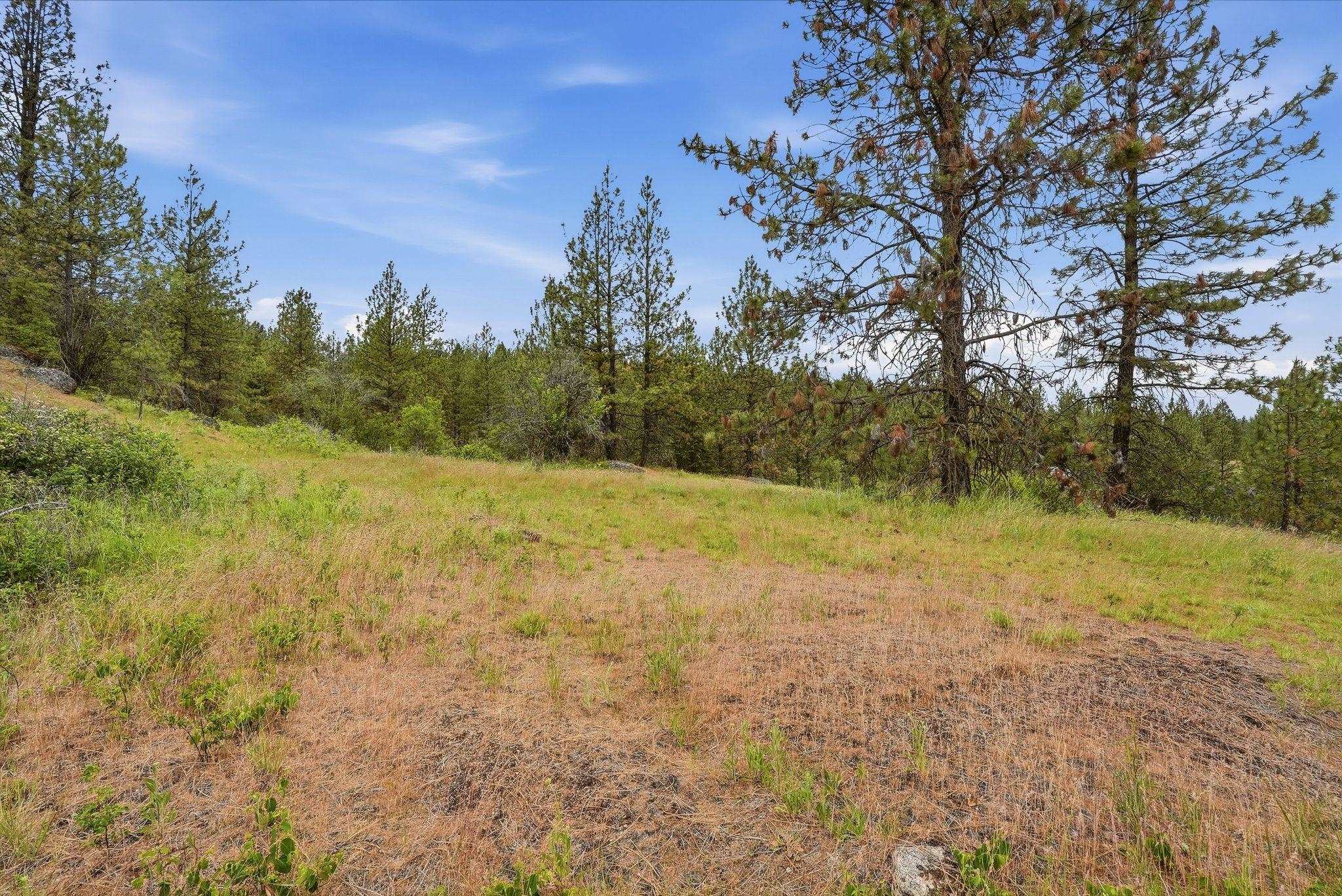 16107 N AUSTIN Rd - Photo 39