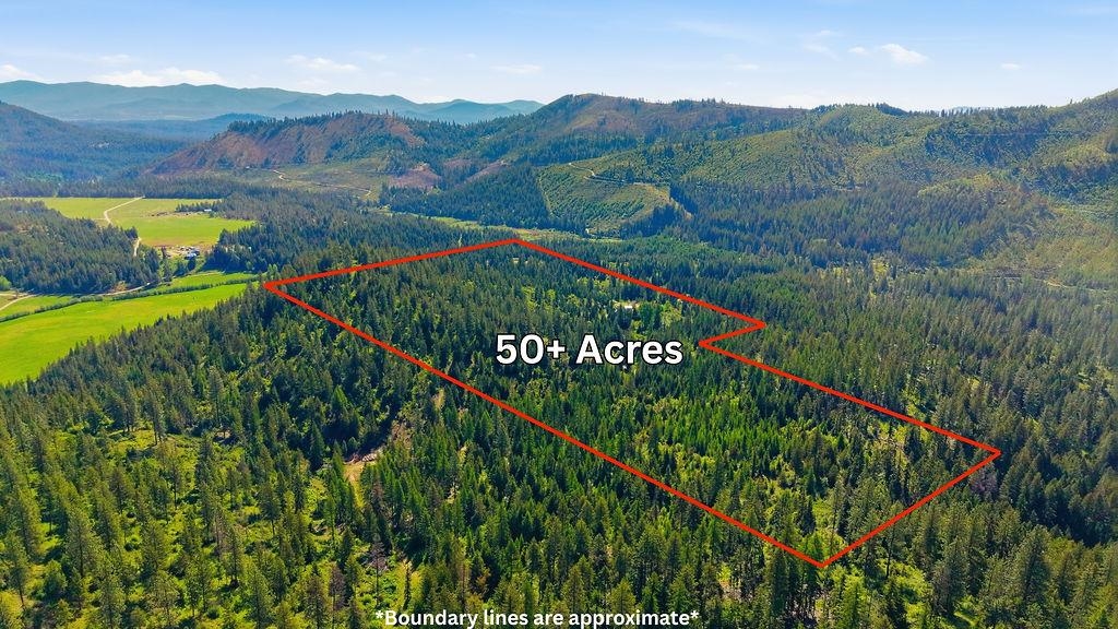 4398K Deer Creek Rd - Photo 2