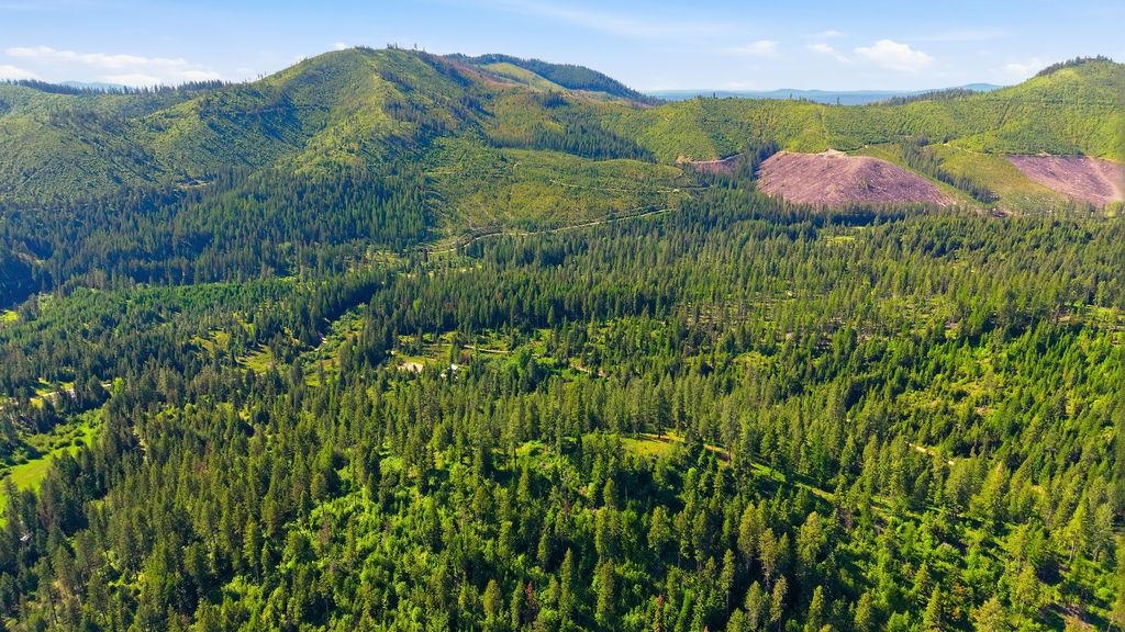 4398K Deer Creek Rd - Photo 5