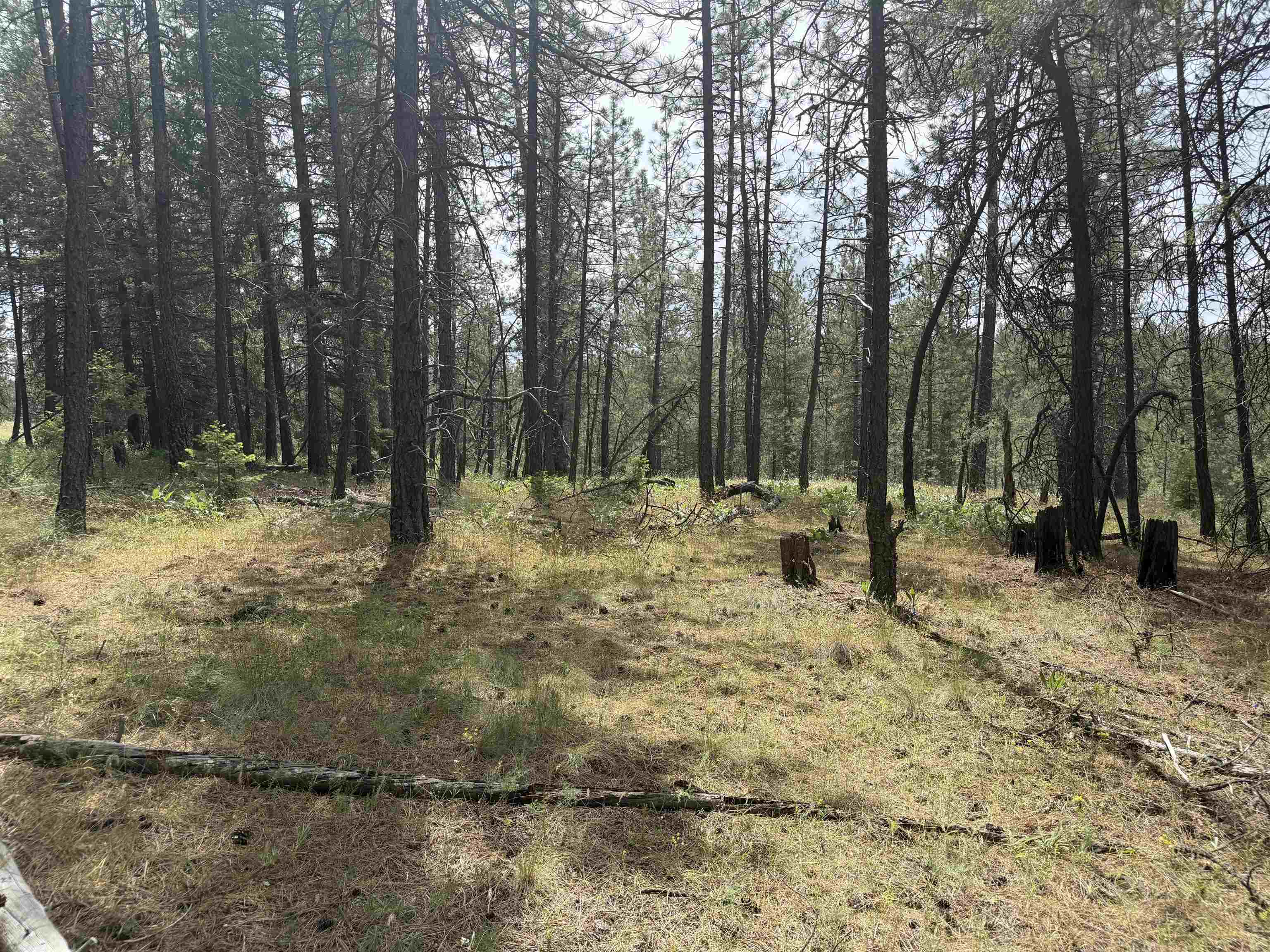 20xxx N Brooks Rd - Photo 2