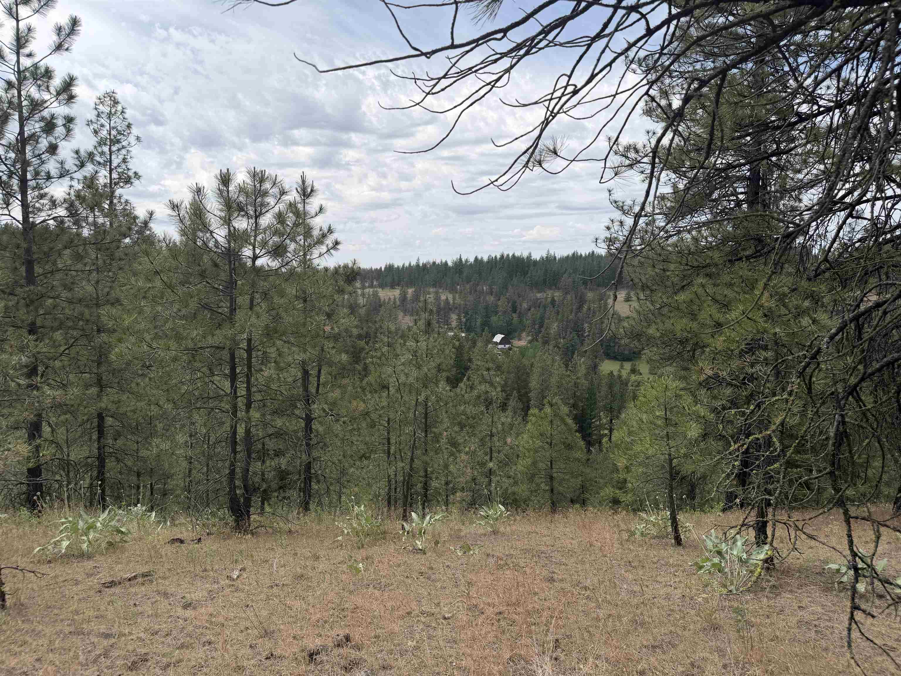 20xxx N Brooks Rd - Photo 5