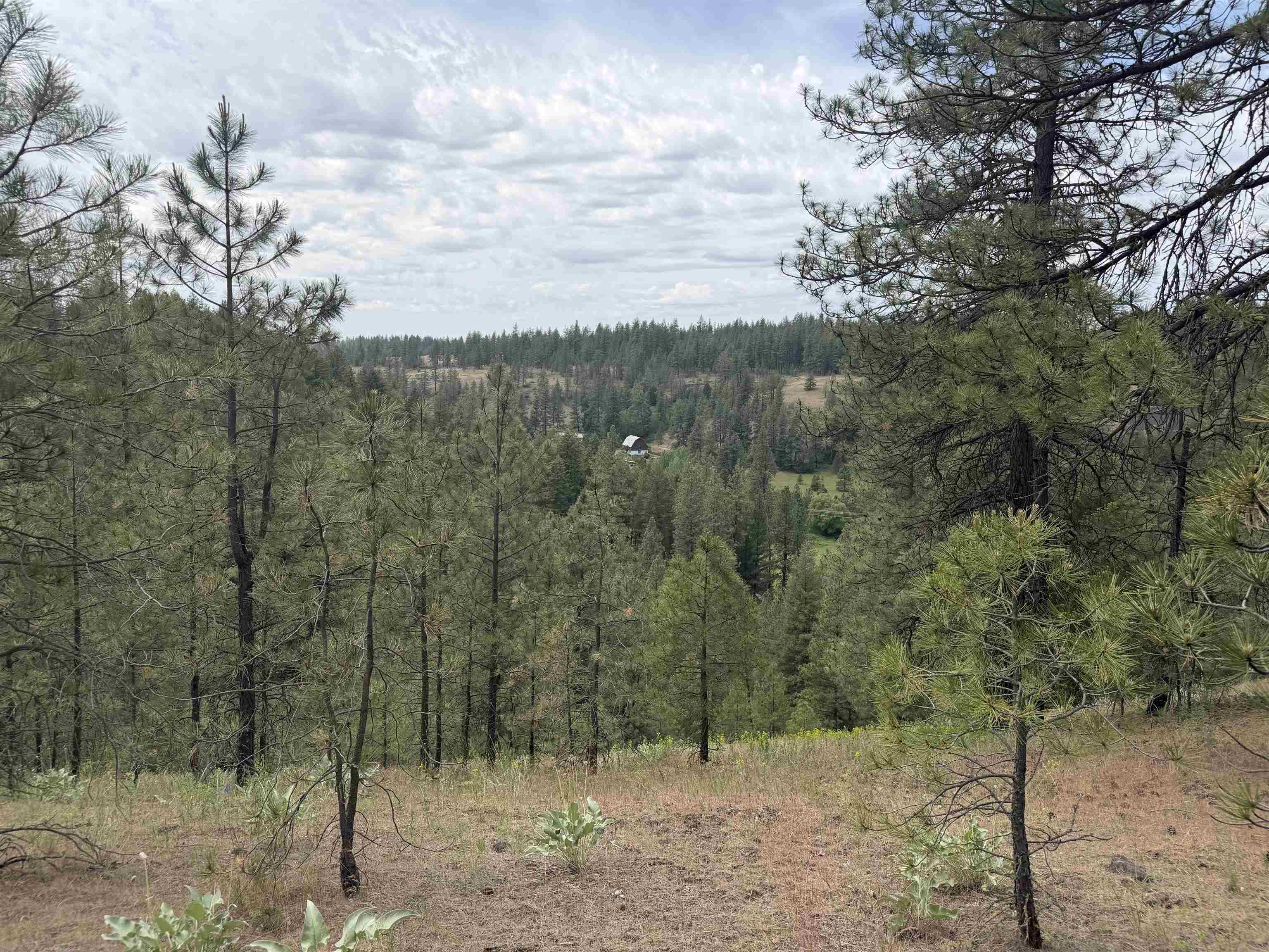 20xxx N Brooks Rd - Photo 7