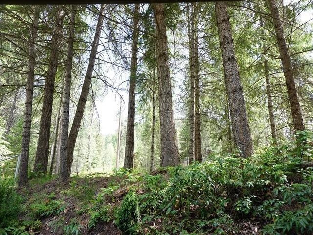 4598 Terrace Rd - Photo 13