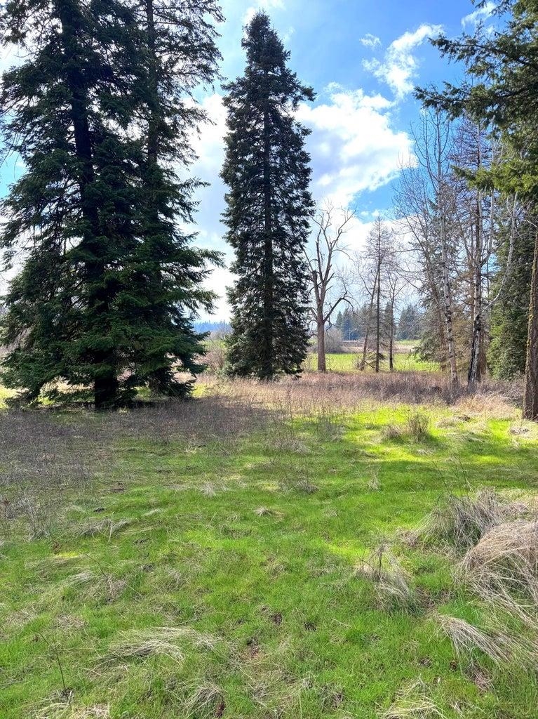 2xxx Blk E Eloika Rd - Photo 21