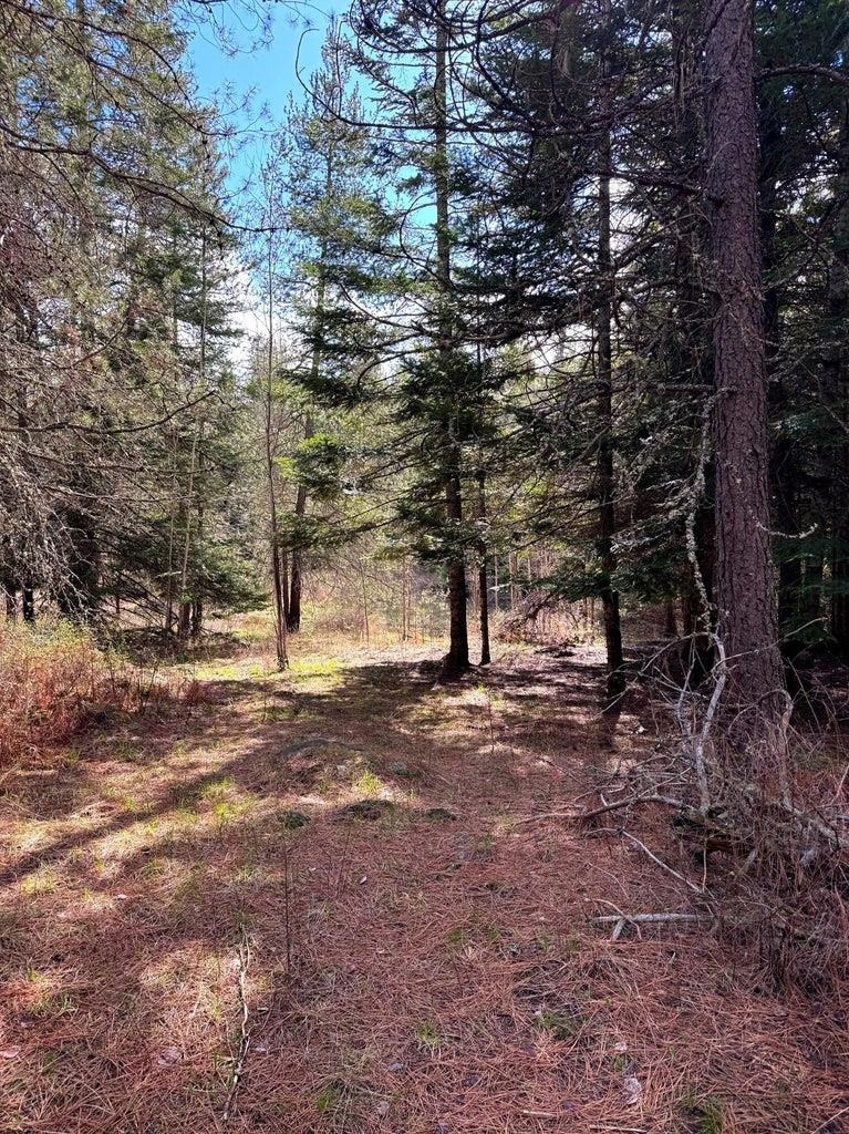 2xxx Blk E Eloika Rd - Photo 24