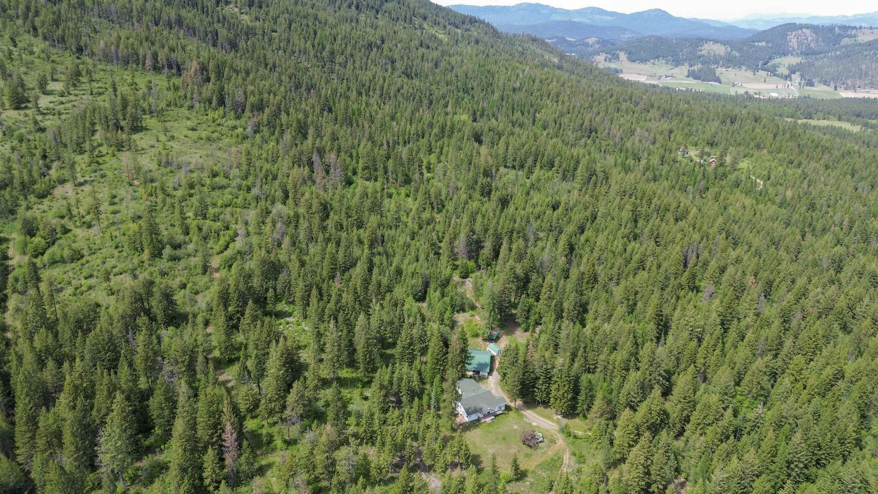2015 Thoni Rd - Photo 1