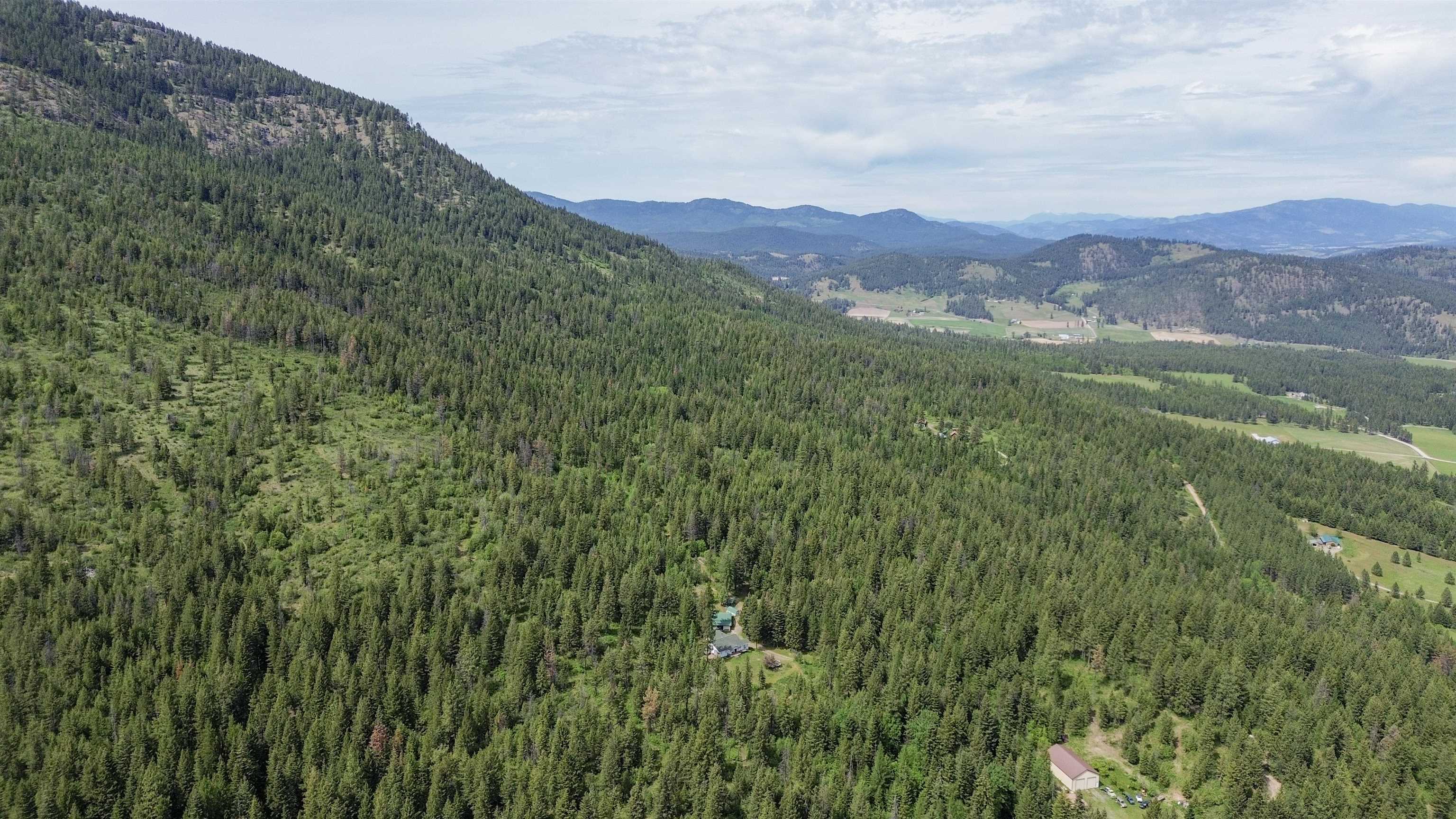 2015 Thoni Rd - Photo 33