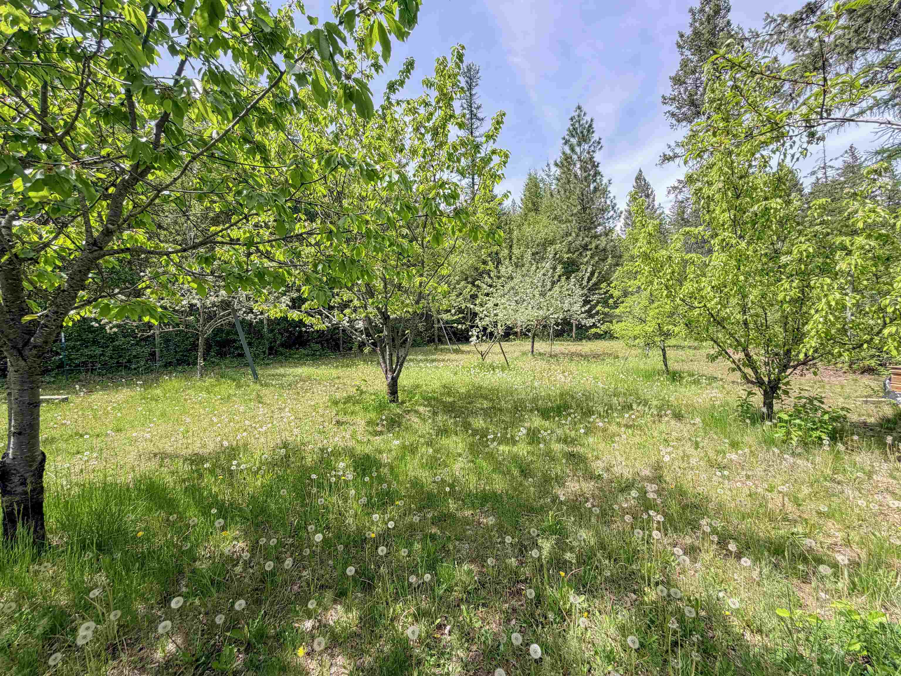 2015 Thoni Rd - Photo 48