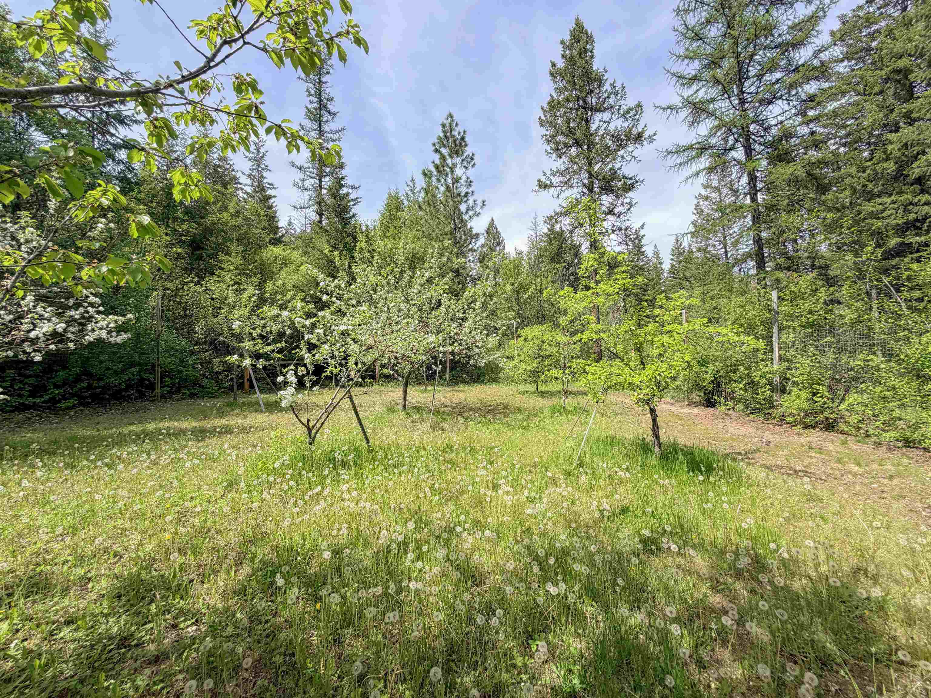 2015 Thoni Rd - Photo 49
