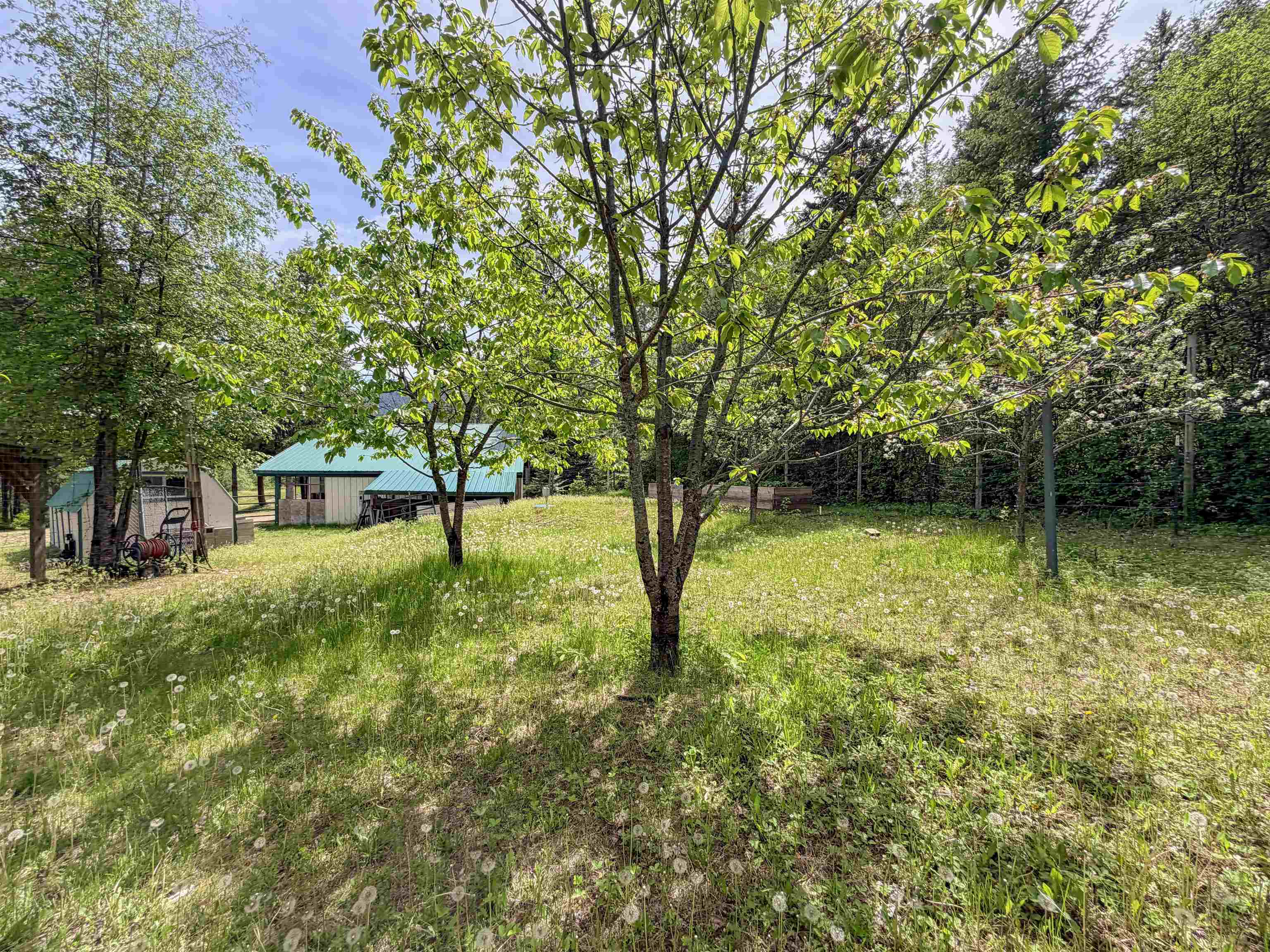 2015 Thoni Rd - Photo 50