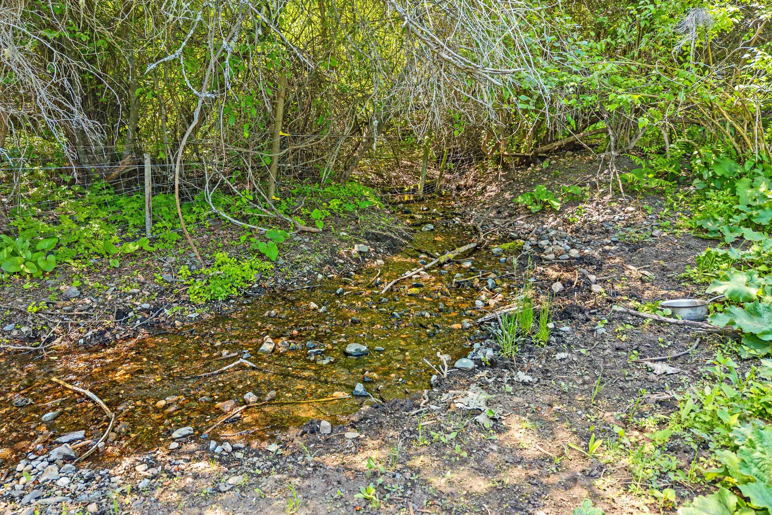 3296 Silver Creek Rd - Photo 37