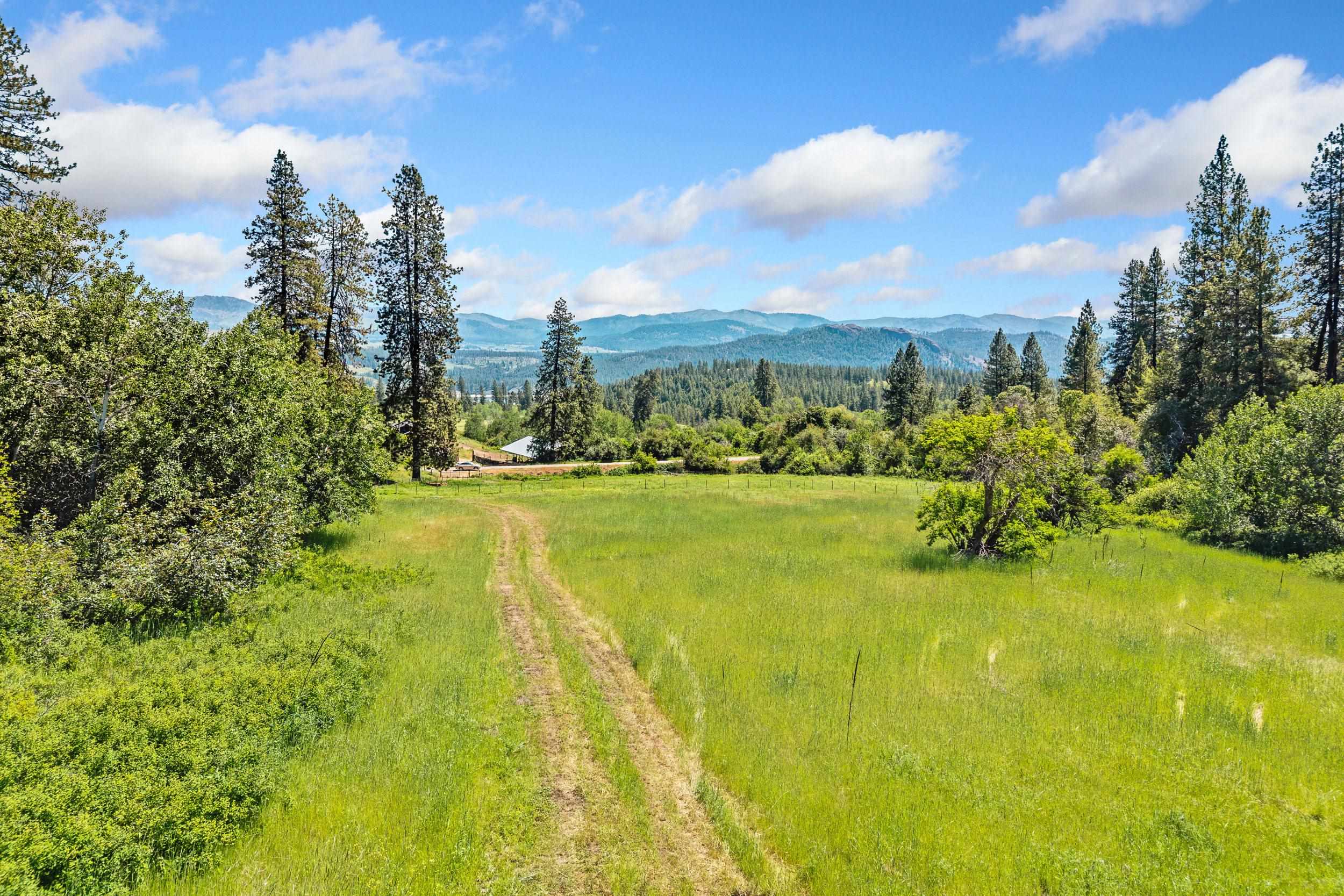 3296 Silver Creek Rd - Photo 38