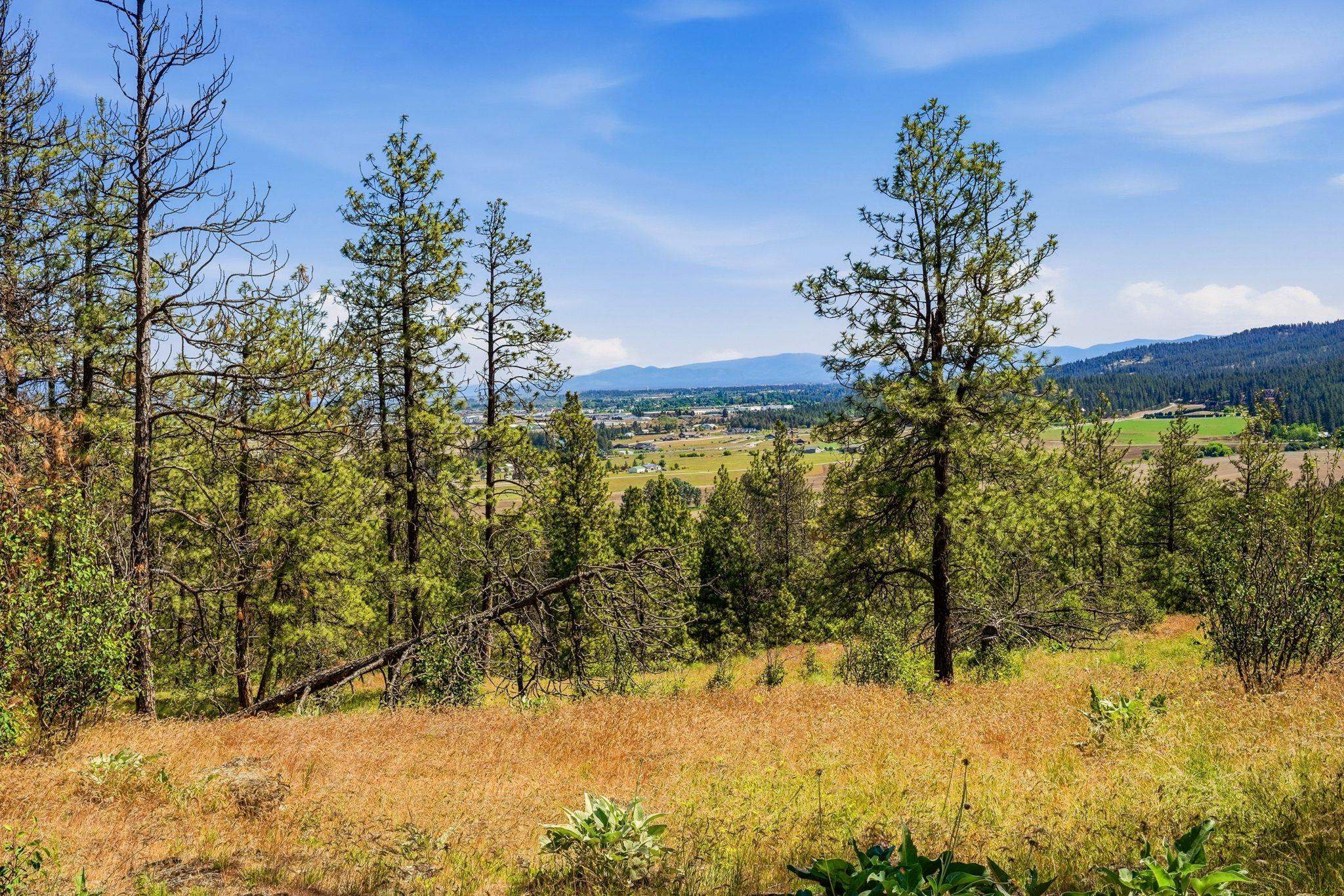 NKA N Chase Ln - Photo 9