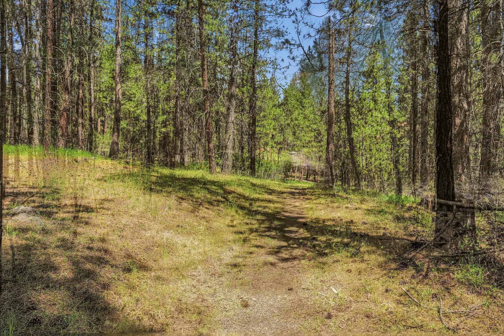 NKA N Chase Ln - Photo 12
