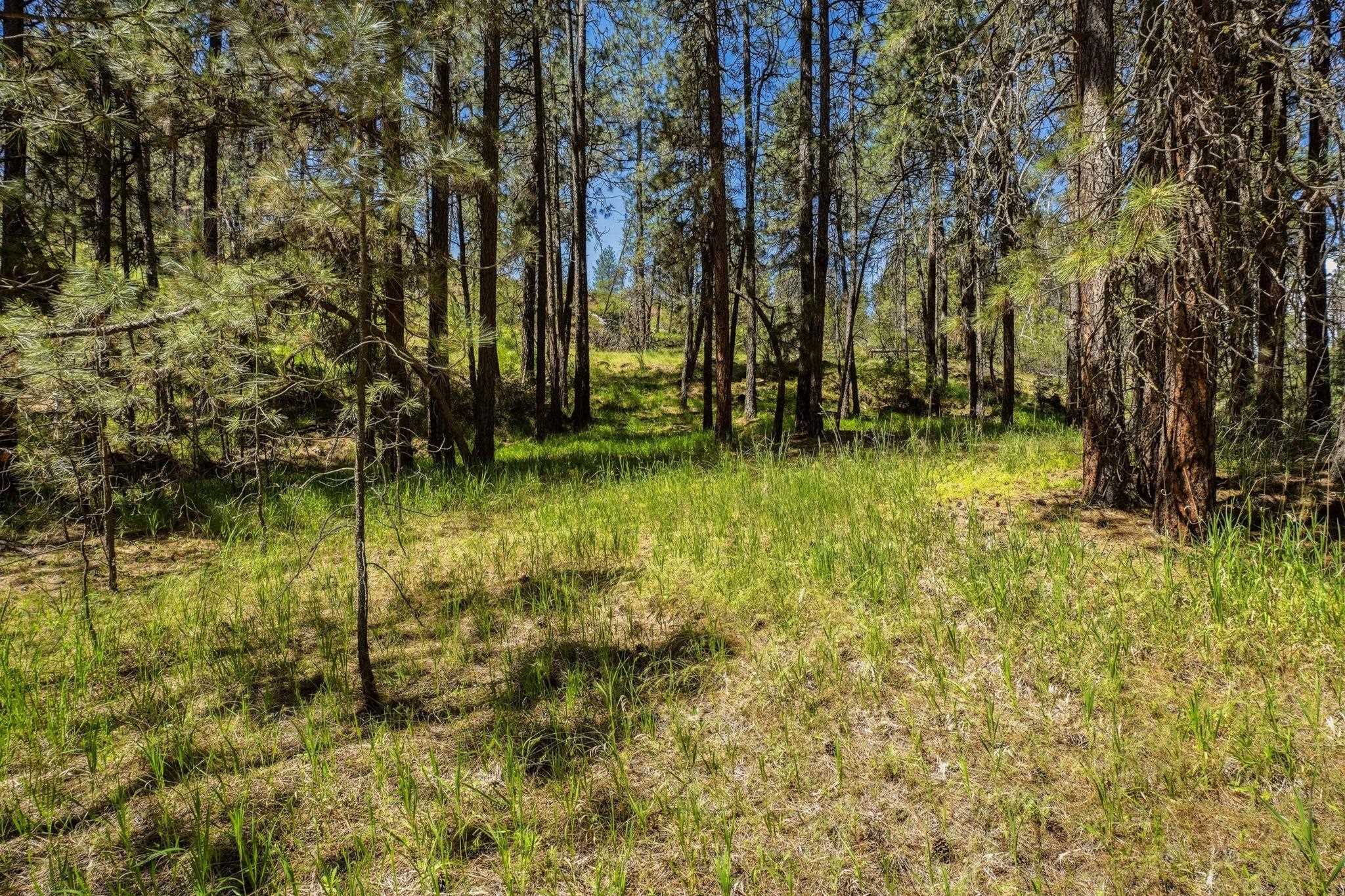 NKA N Chase Ln - Photo 14