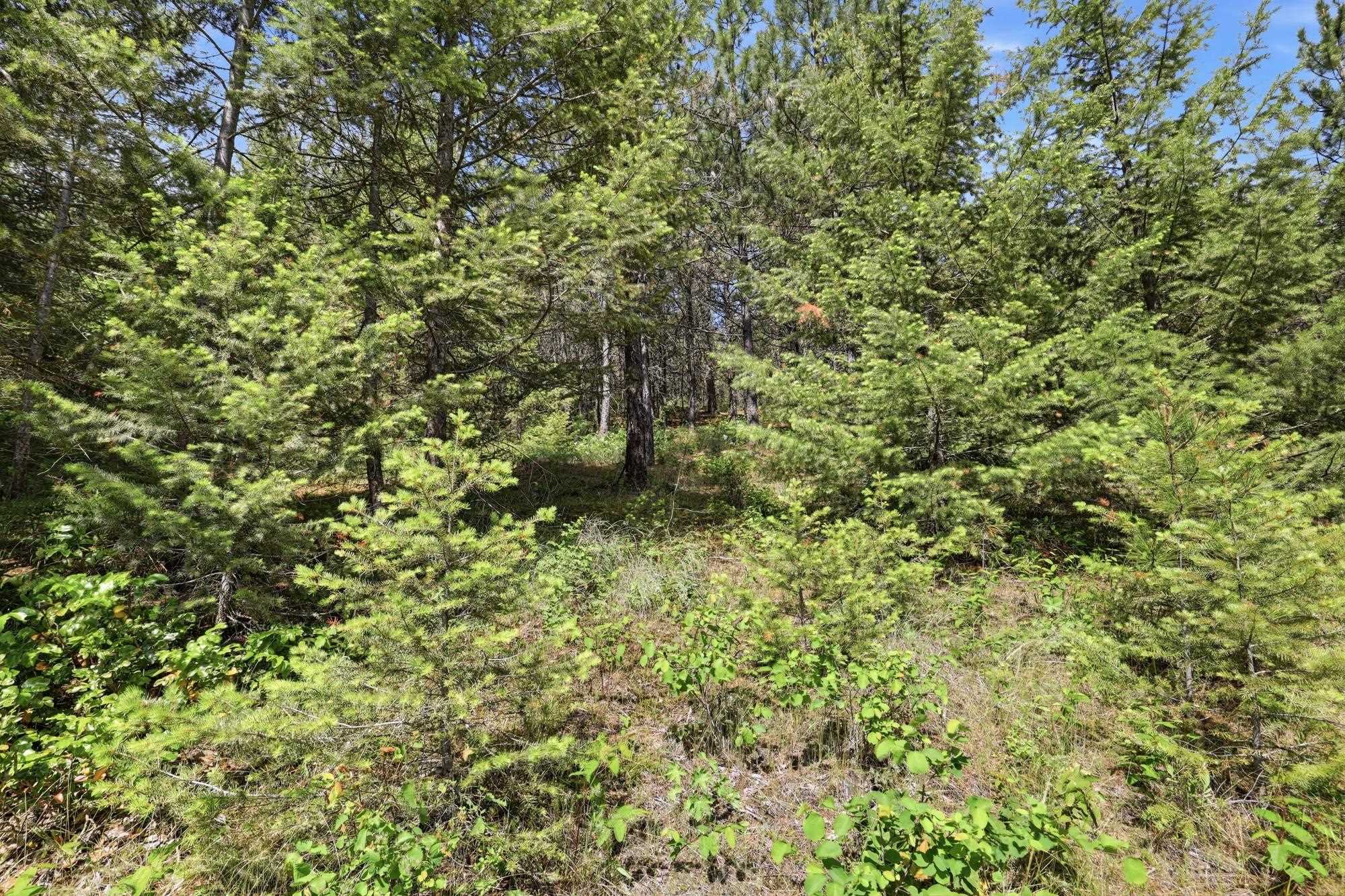 33113 N Milan Rd - Photo 37