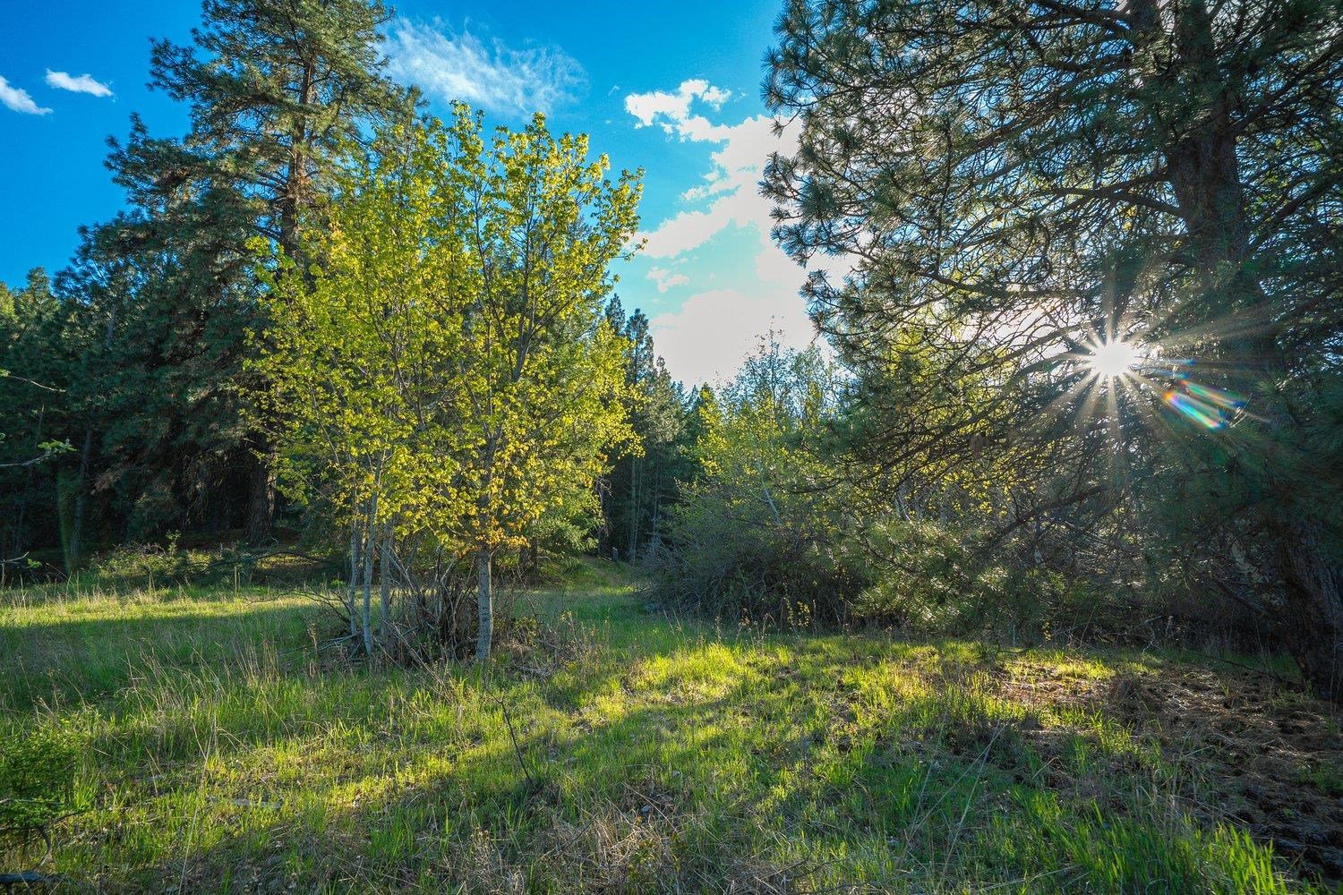10610 E Grouse Mountain Ln - Photo 14