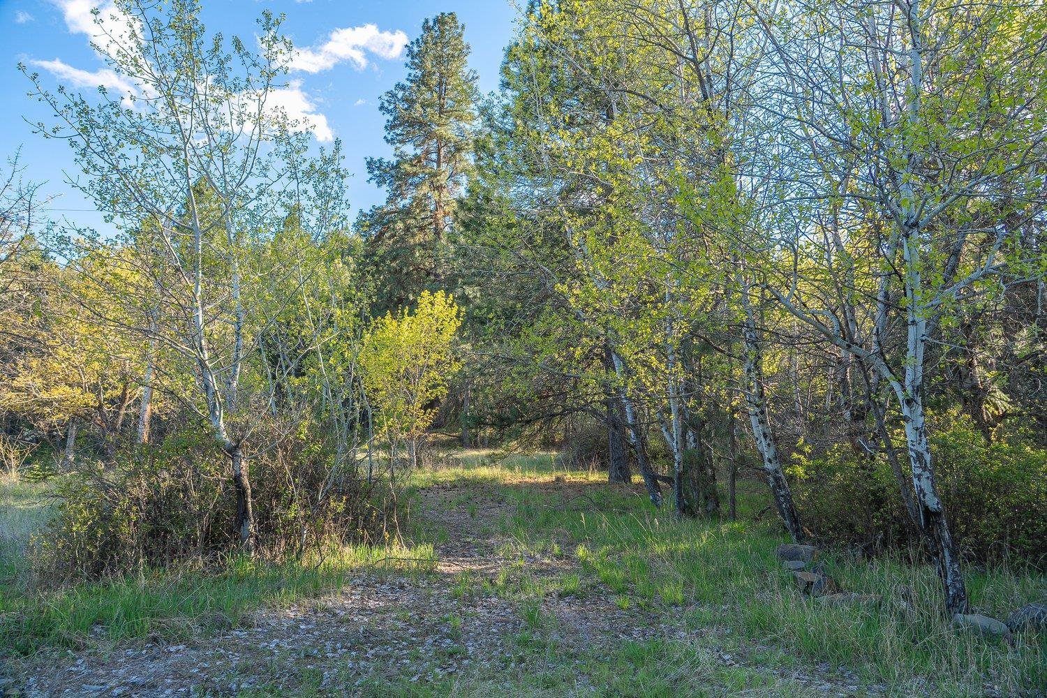 10610 E Grouse Mountain Ln - Photo 17