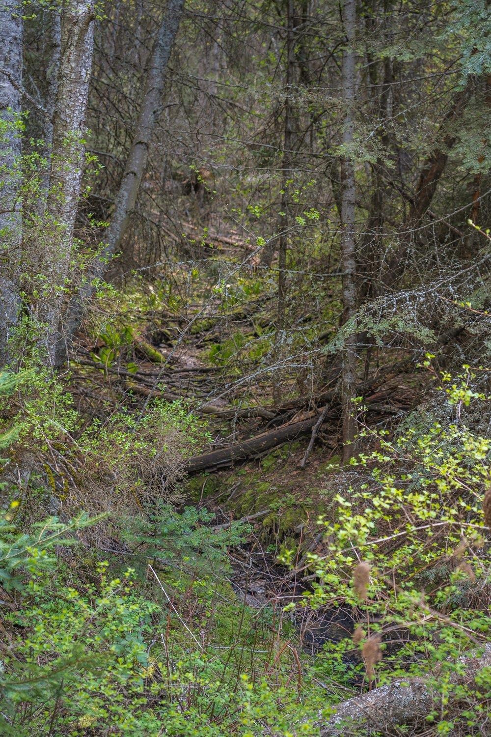 10610 E Grouse Mountain Ln - Photo 18