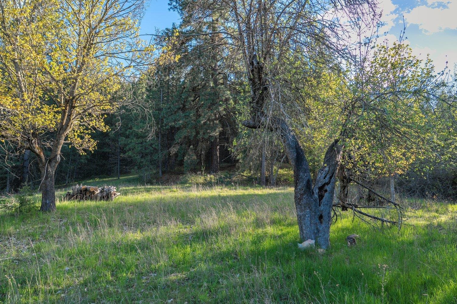 10610 E Grouse Mountain Ln - Photo 20
