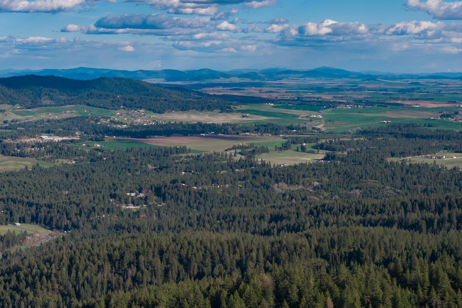 10610 E Grouse Mountain Ln - Photo 8