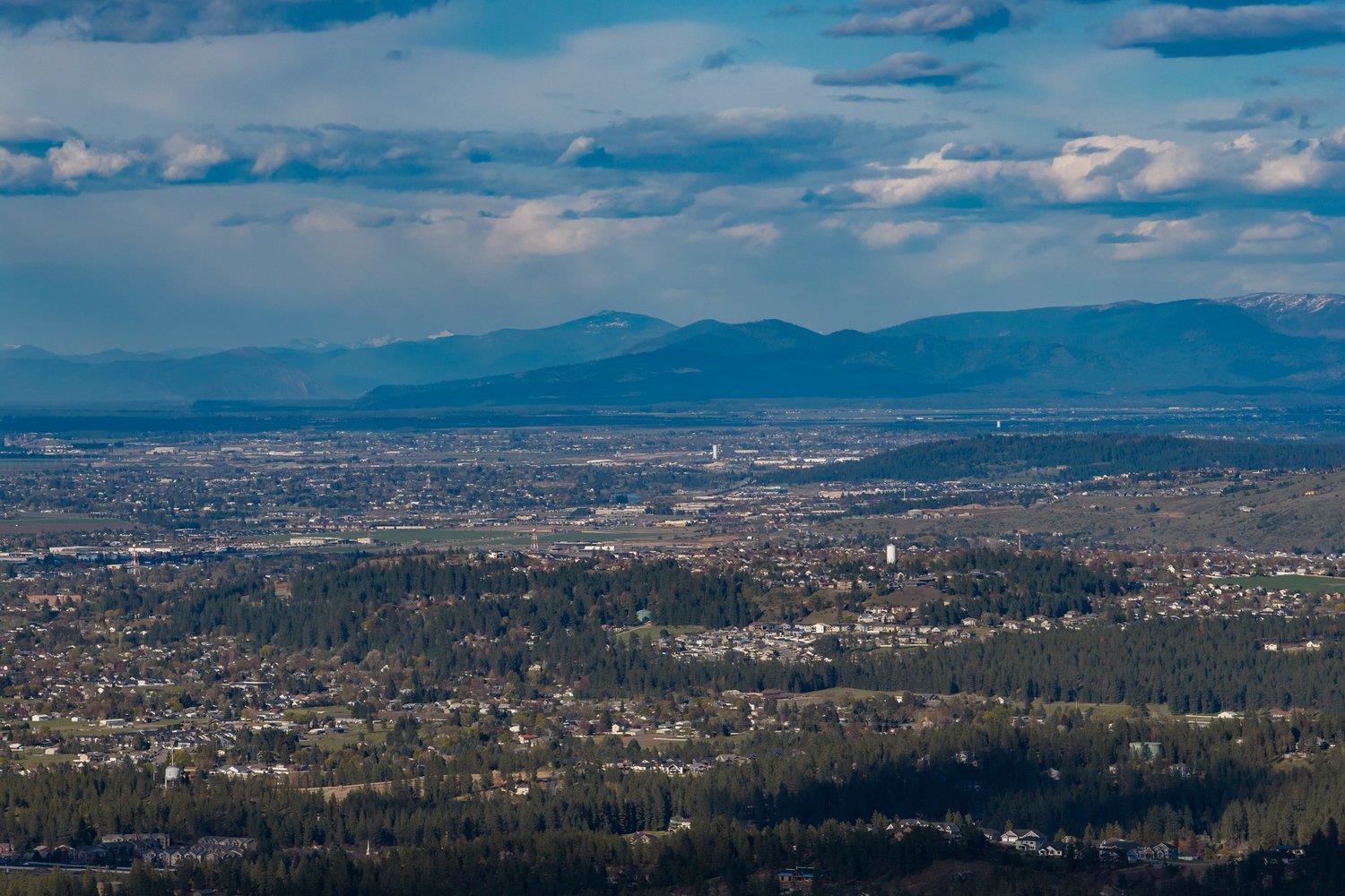 10610 E Grouse Mountain Ln - Photo 9
