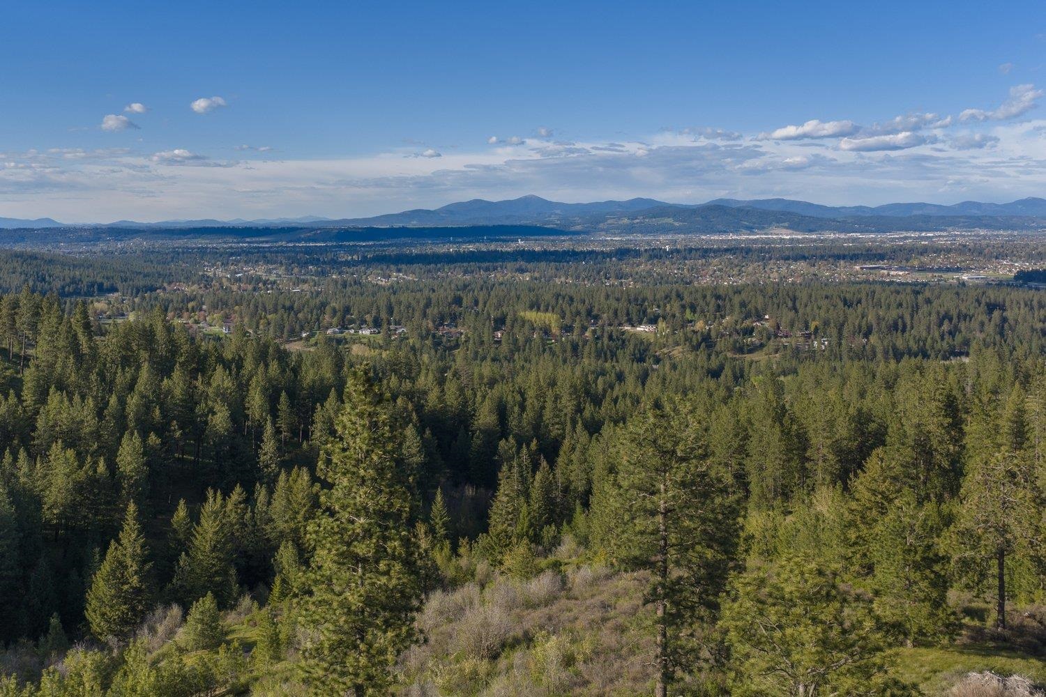 10610 E Grouse Mountain Ln - Photo 11
