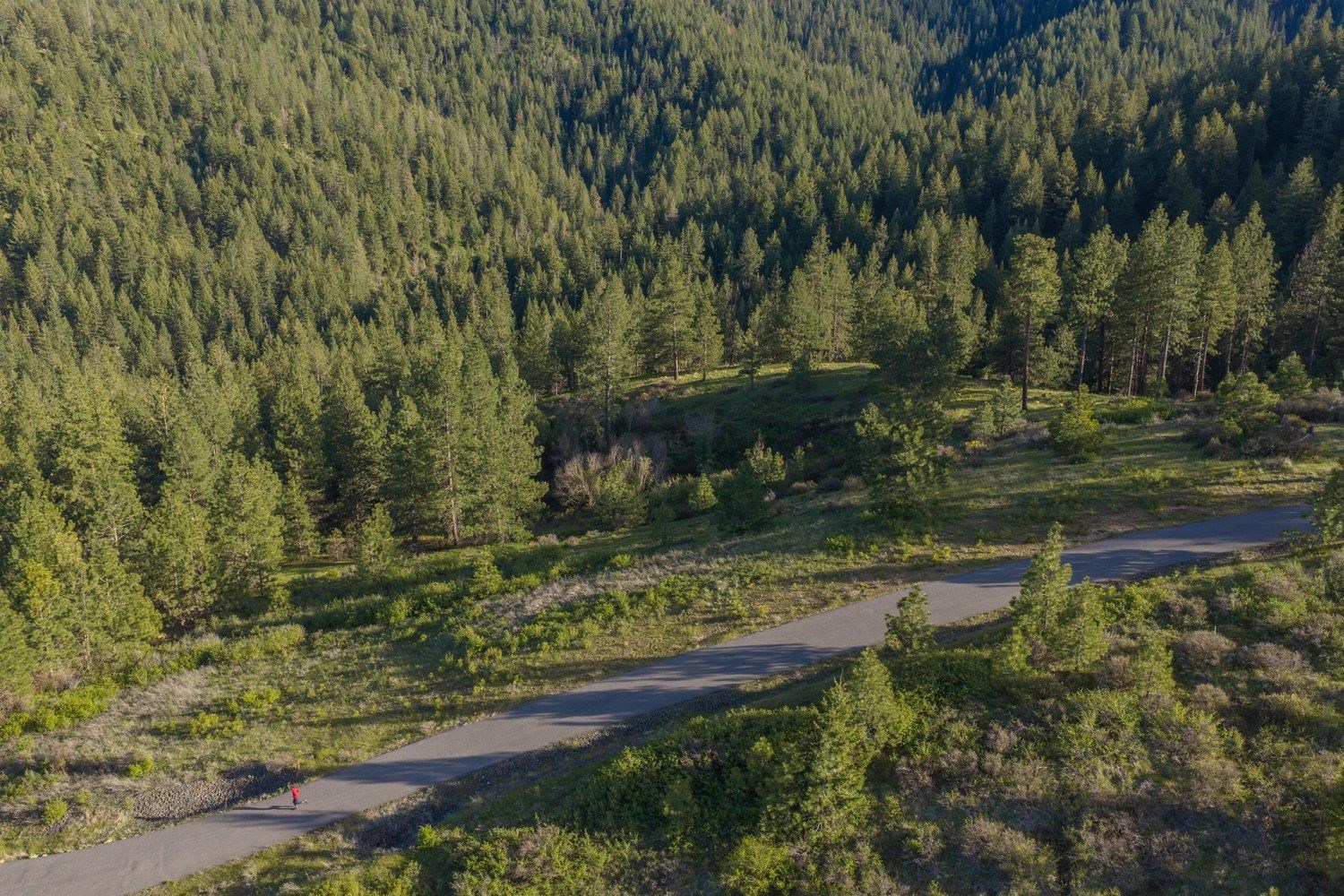 10610 E Grouse Mountain Ln - Photo 12