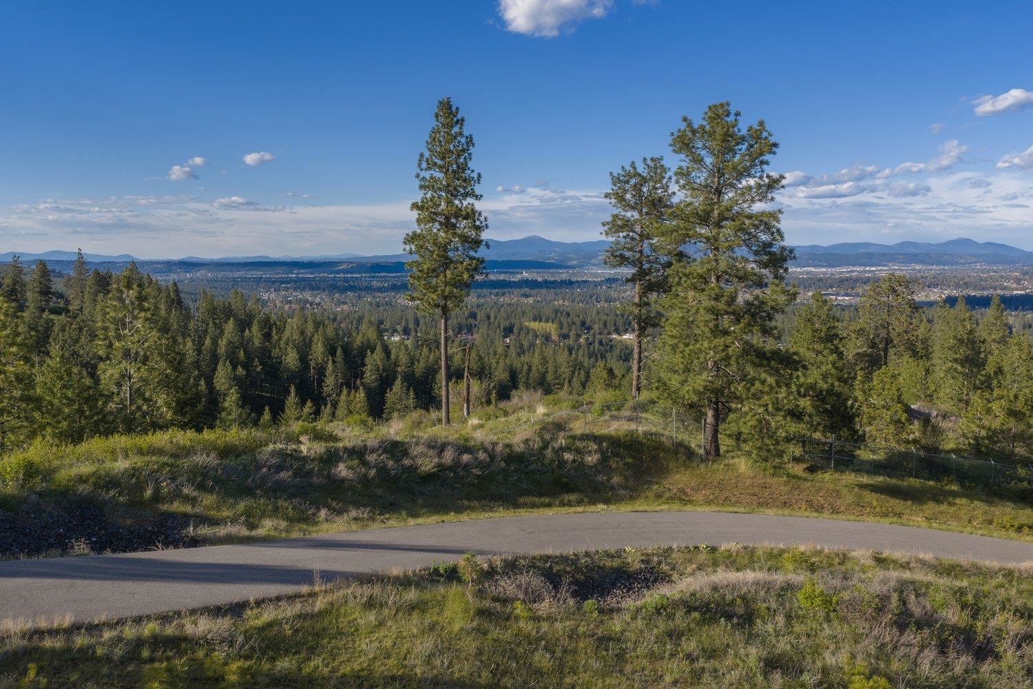 10610 E Grouse Mountain Ln - Photo 2