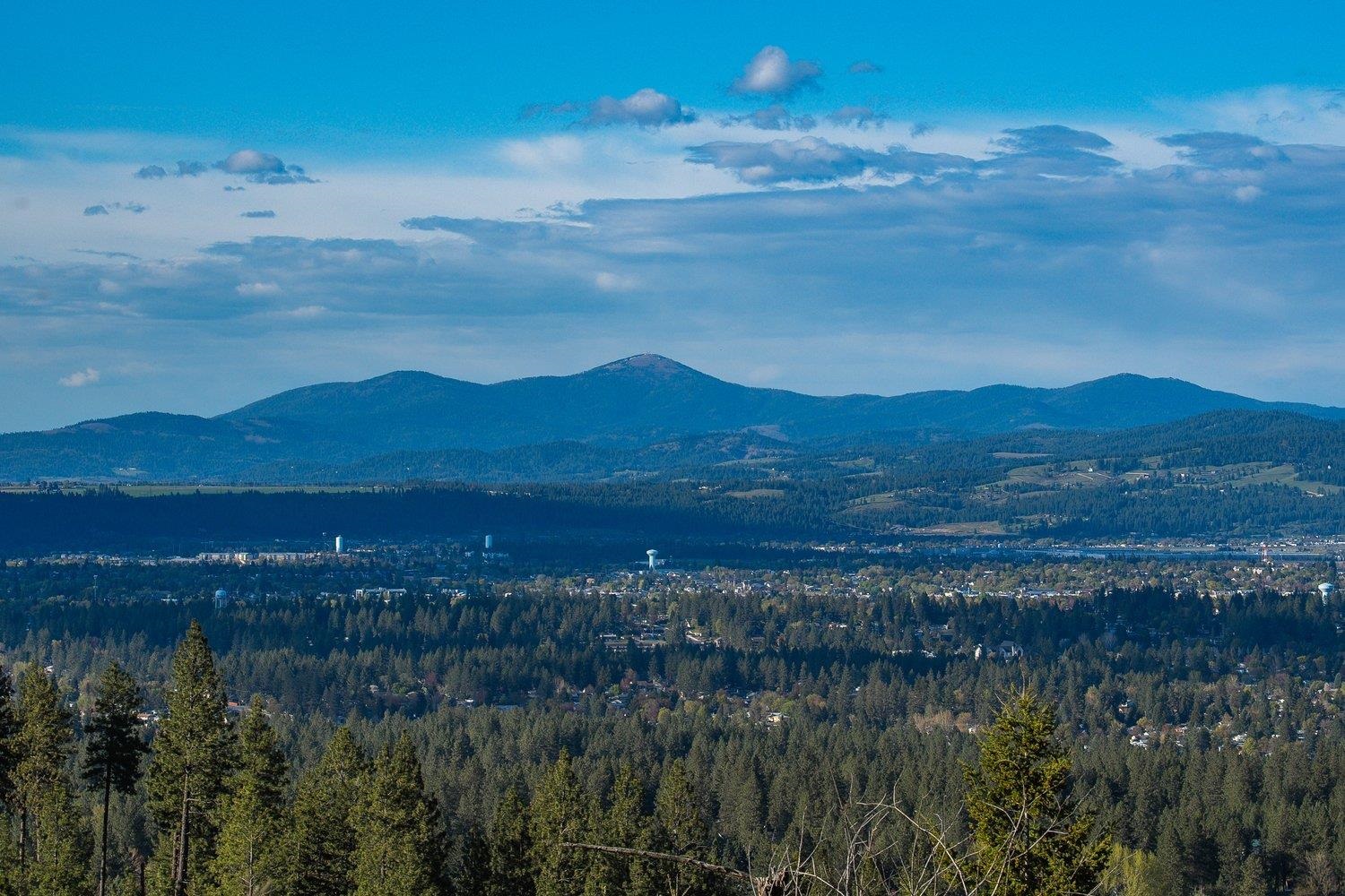 10610 E Grouse Mountain Ln - Photo 1