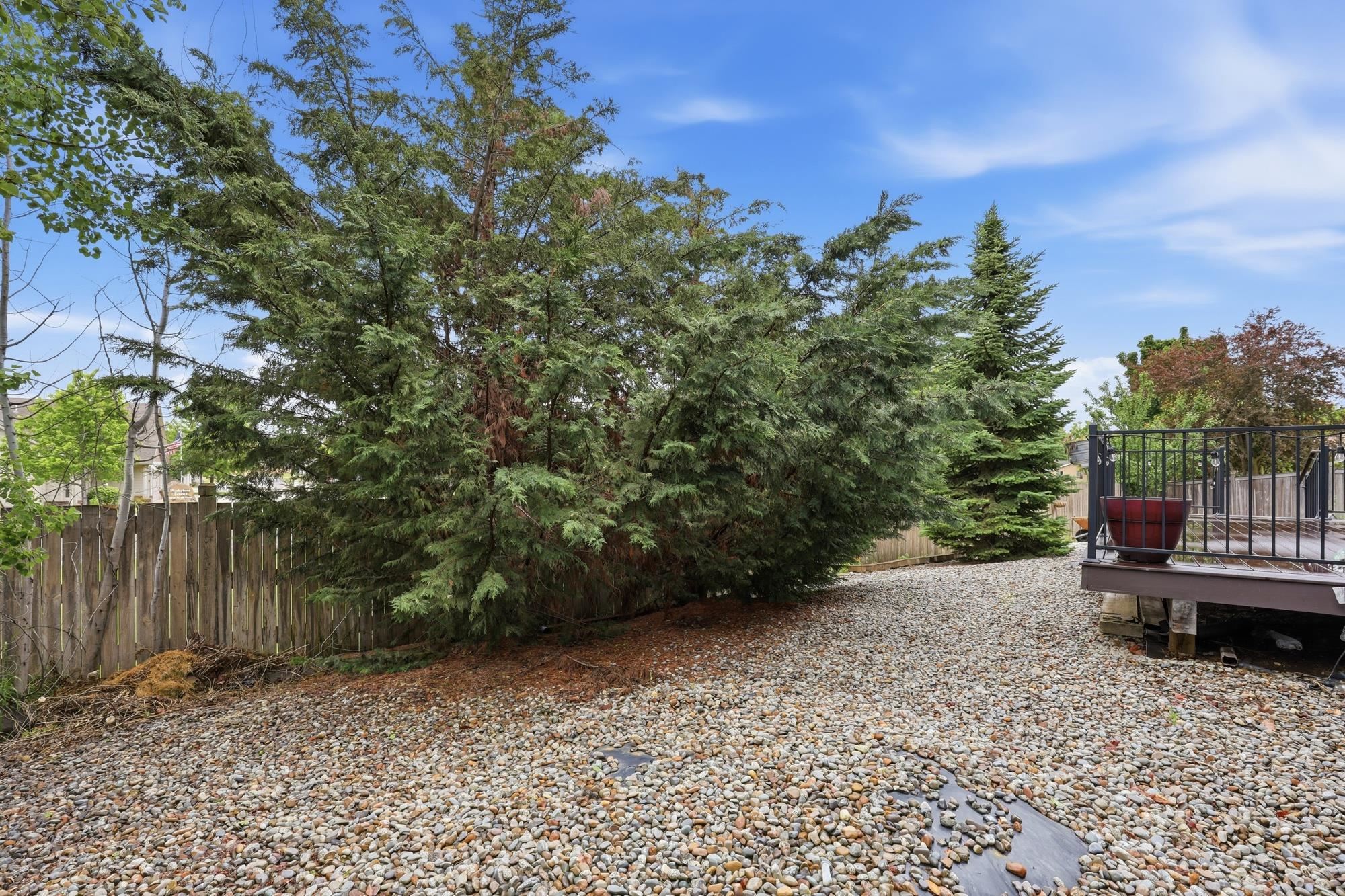2315 Lilac Ct - Photo 28