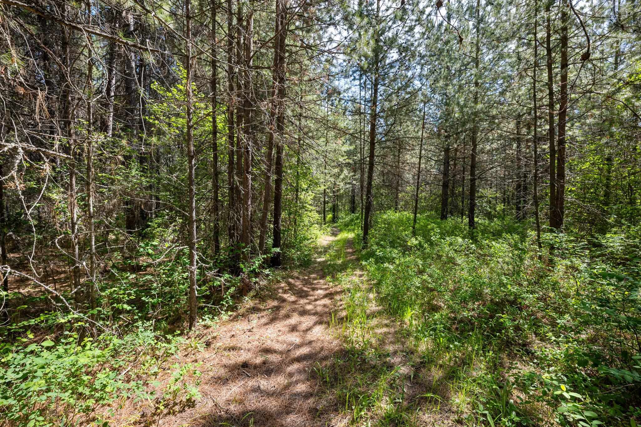 XX McKENZIE Rd - Photo 19