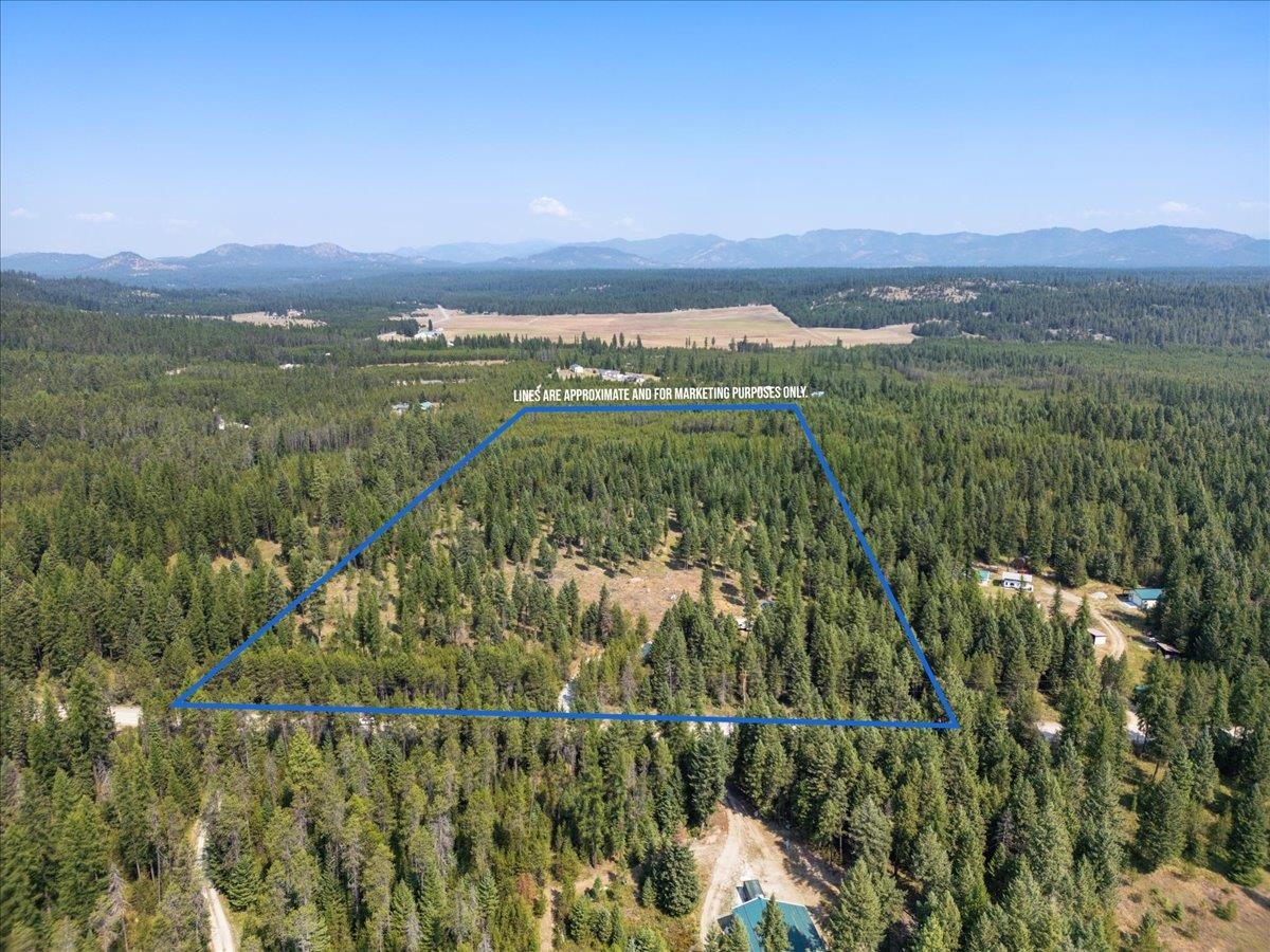 311 BIGFOOT Rd - Photo 1