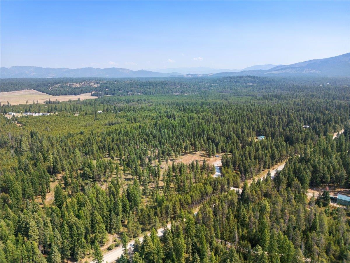 311 BIGFOOT Rd - Photo 4