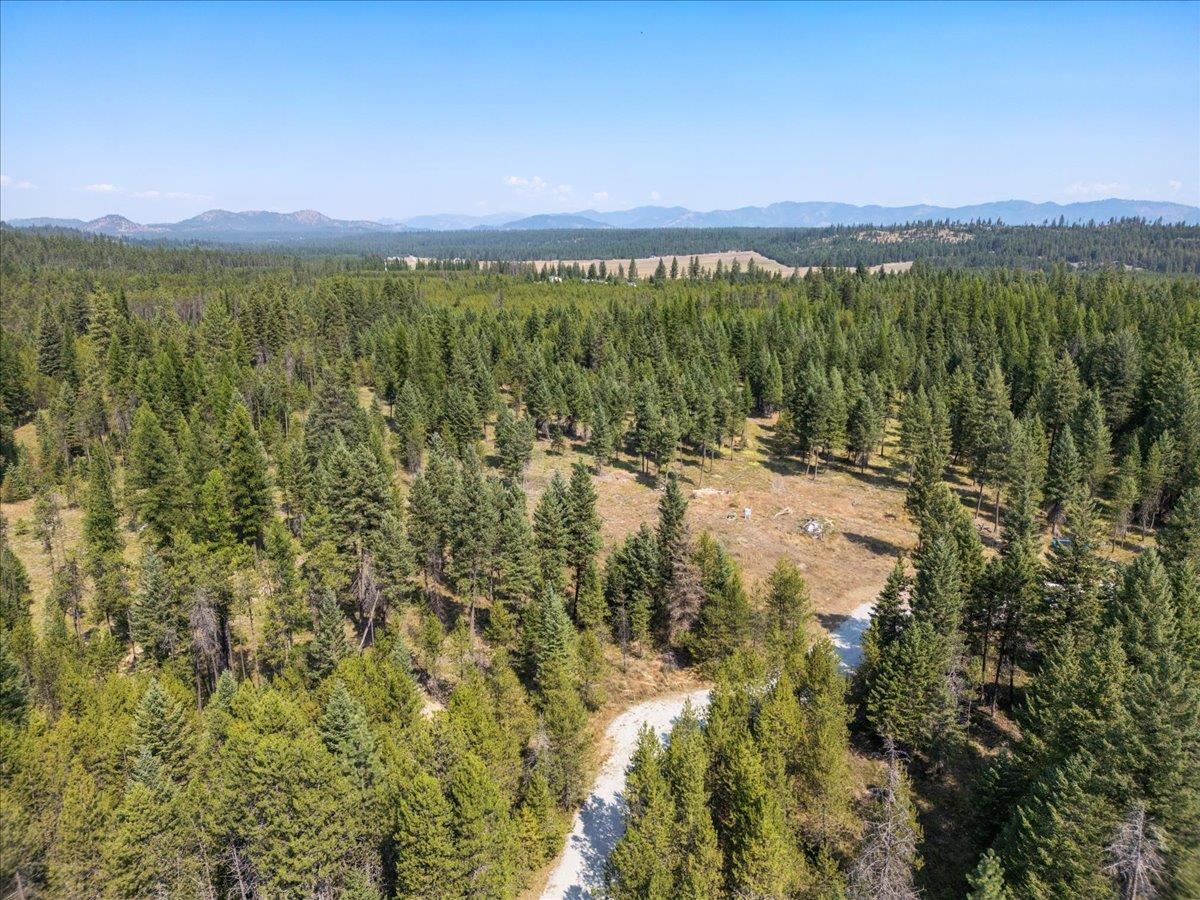 311 BIGFOOT Rd - Photo 5