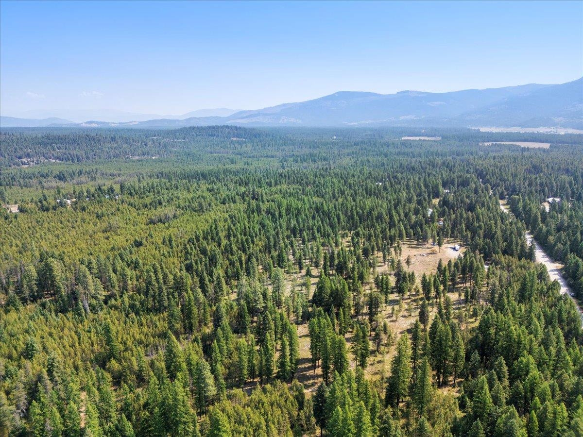 311 BIGFOOT Rd - Photo 6