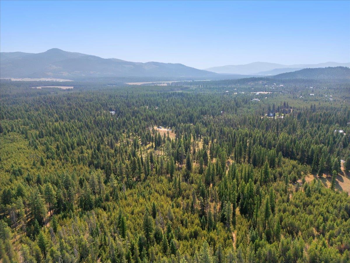 311 BIGFOOT Rd - Photo 7