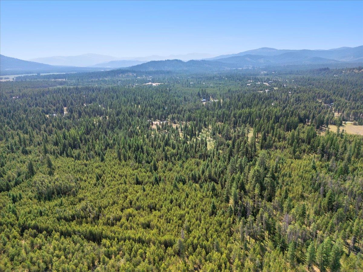 311 BIGFOOT Rd - Photo 8