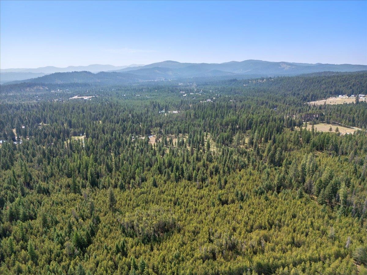 311 BIGFOOT Rd - Photo 9