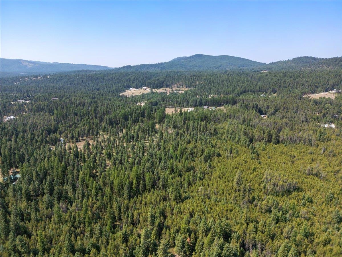 311 BIGFOOT Rd - Photo 10
