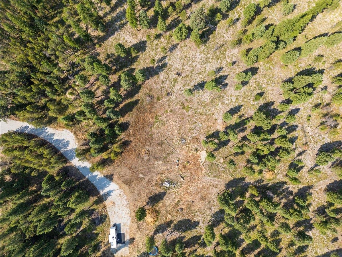 311 BIGFOOT Rd - Photo 11