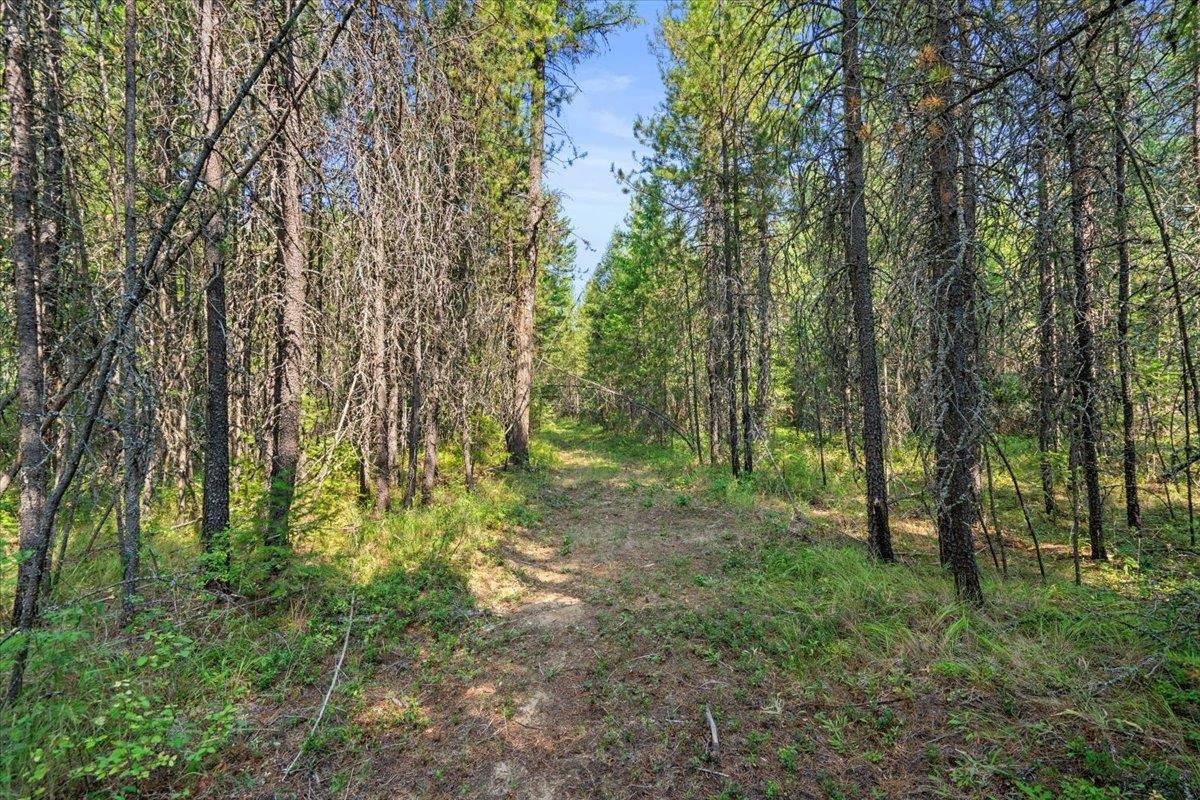 311 BIGFOOT Rd - Photo 14