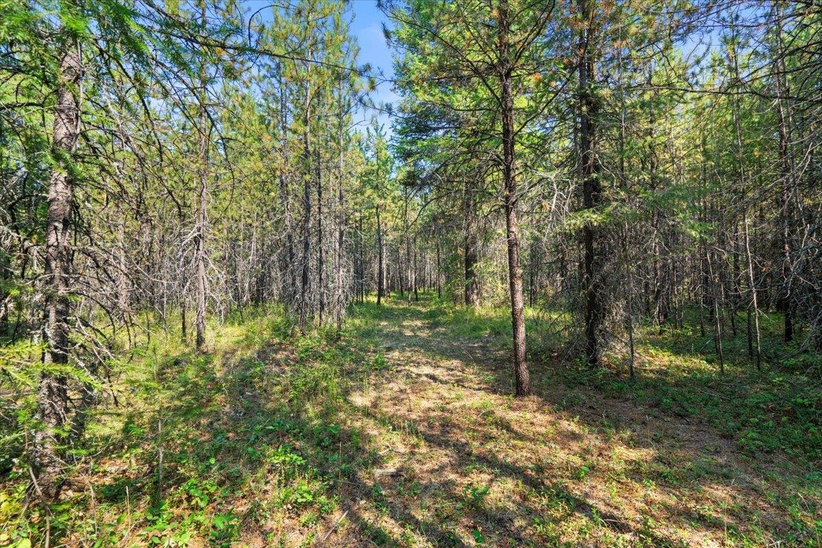 311 BIGFOOT Rd - Photo 15
